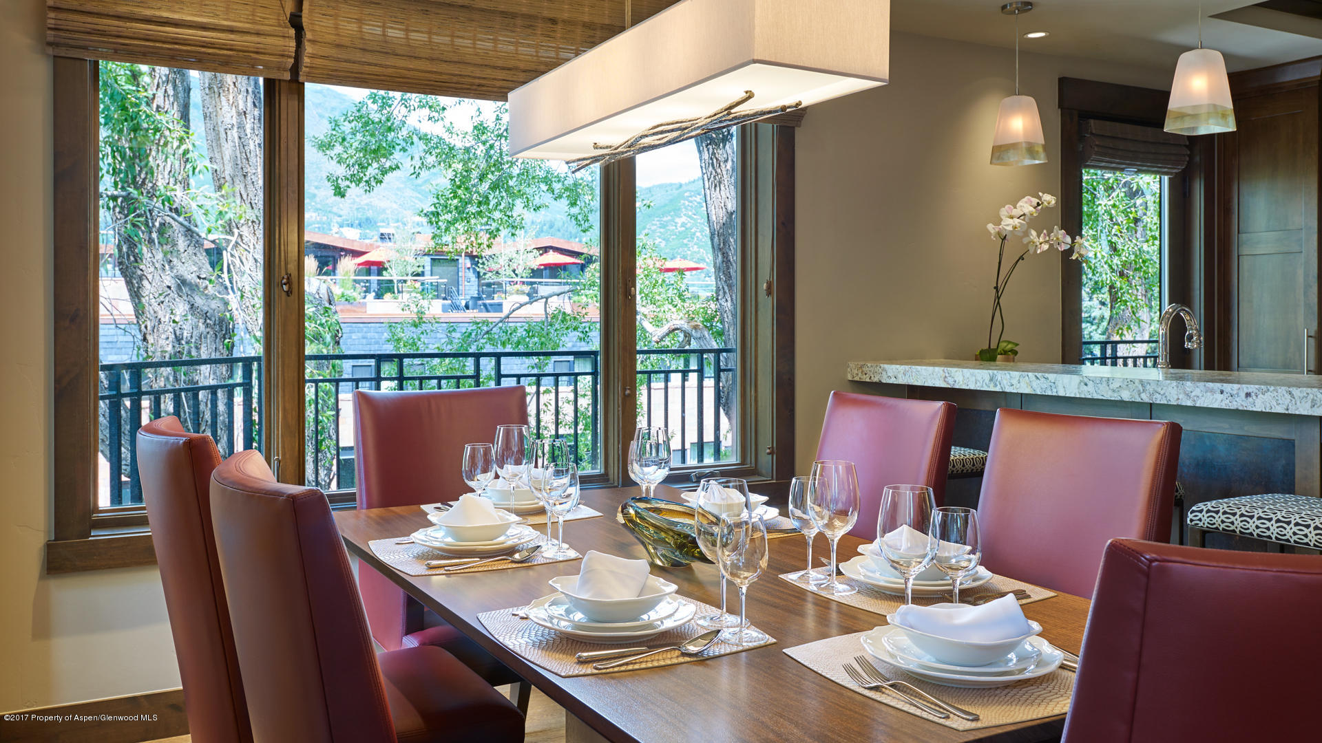 219 E Durant Avenue Aspen CO 81611