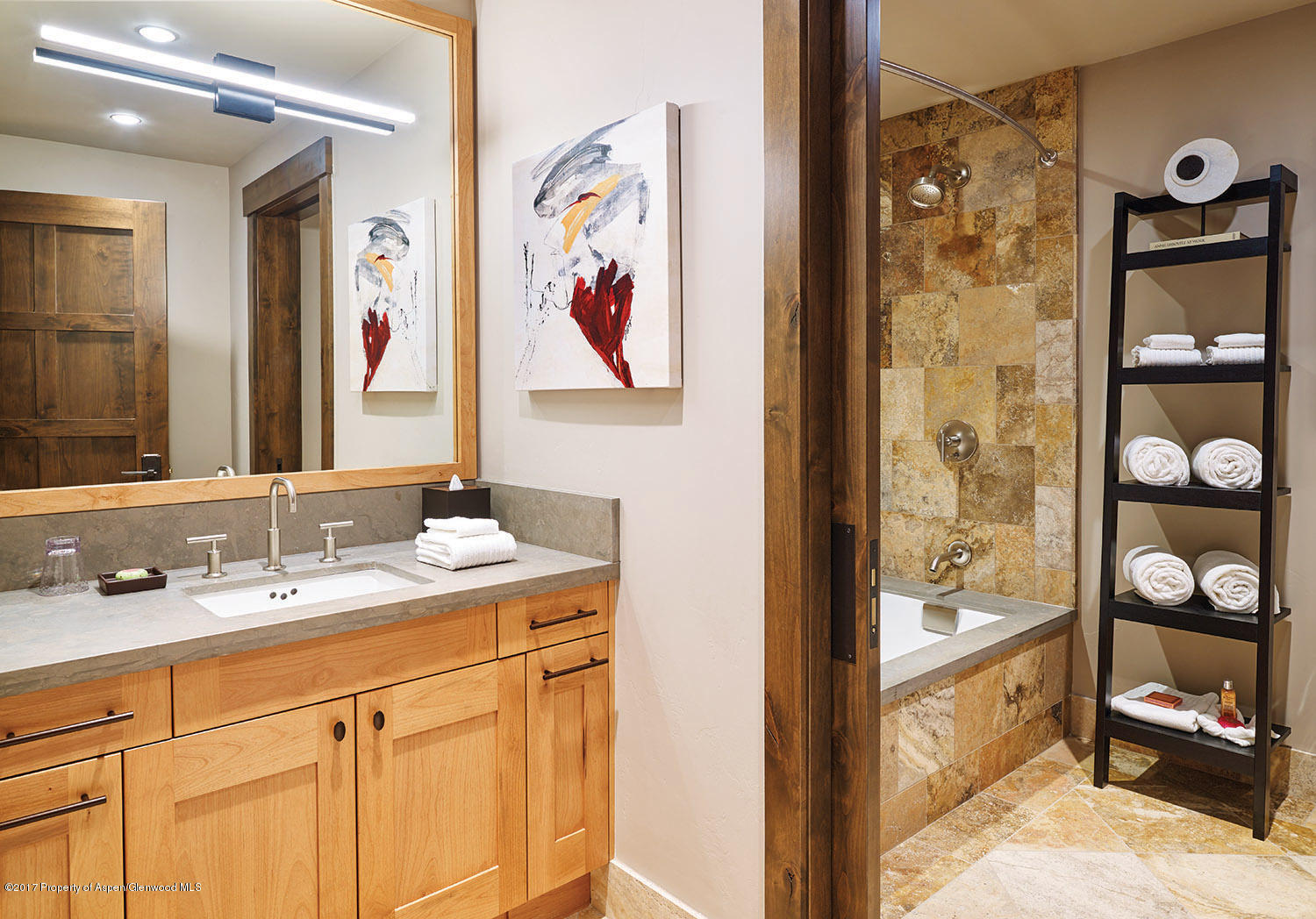 219 E Durant Avenue Aspen CO 81611