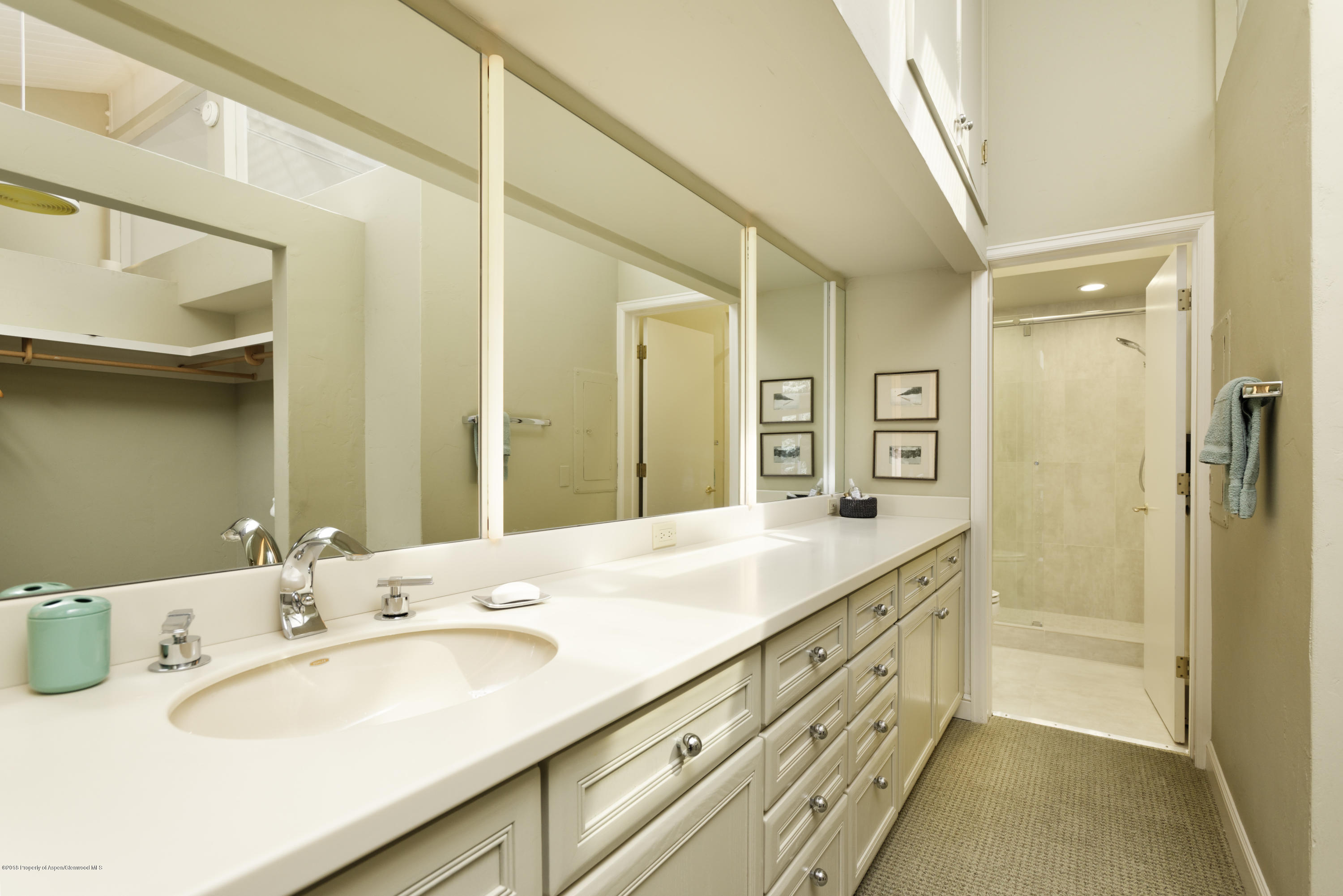 625 S West End Street Aspen CO 81611