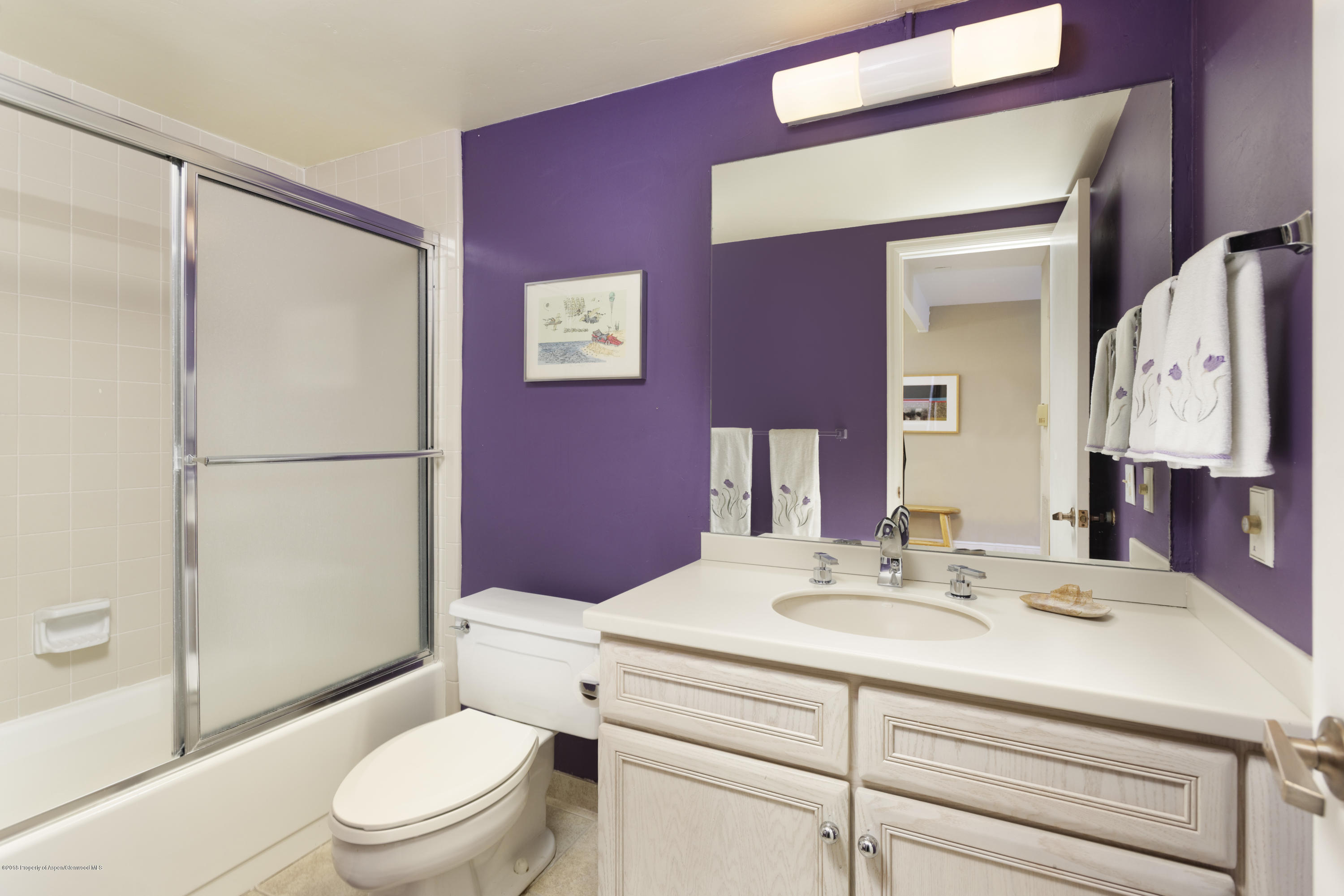 625 S West End Street Aspen CO 81611