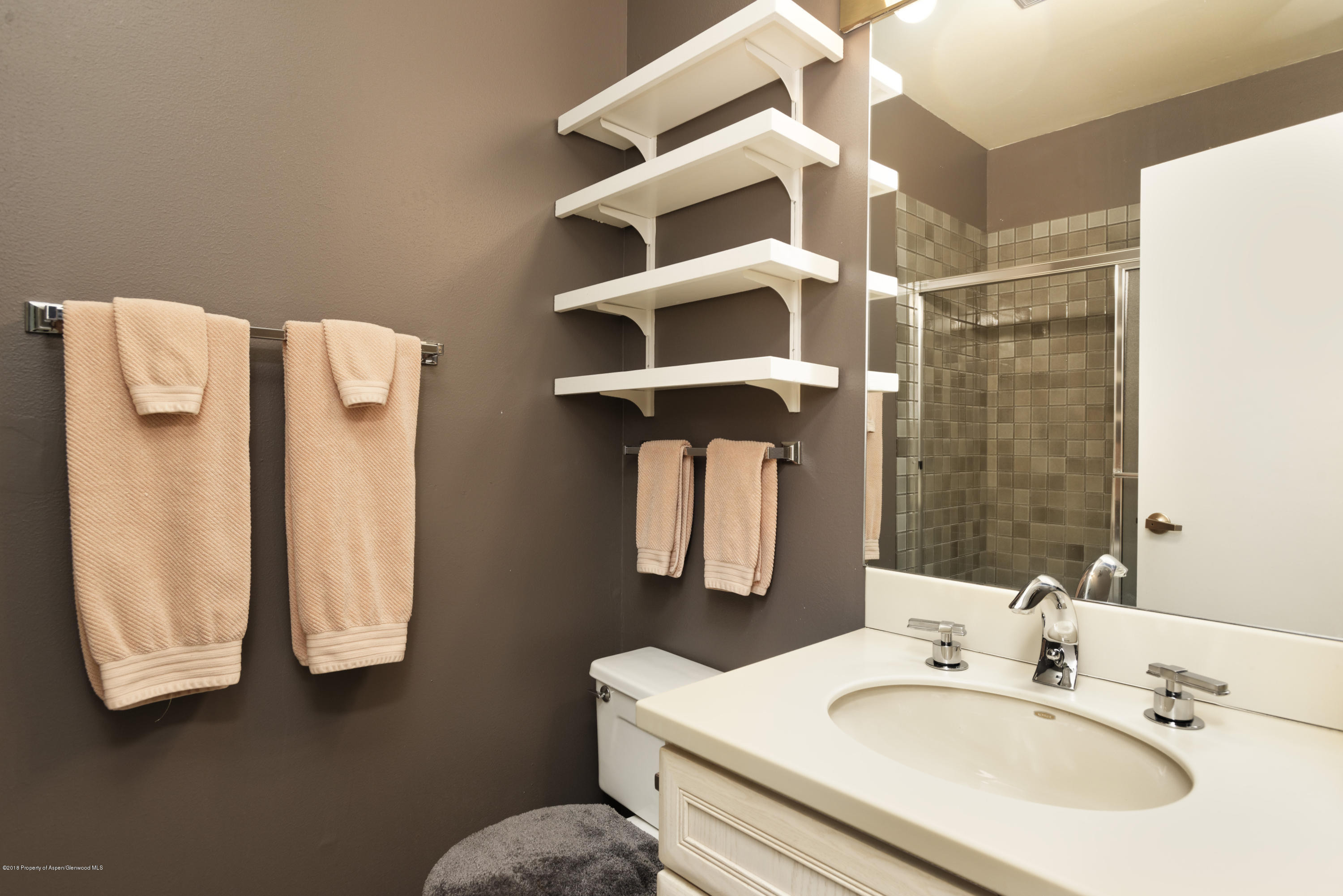 625 S West End Street Aspen CO 81611
