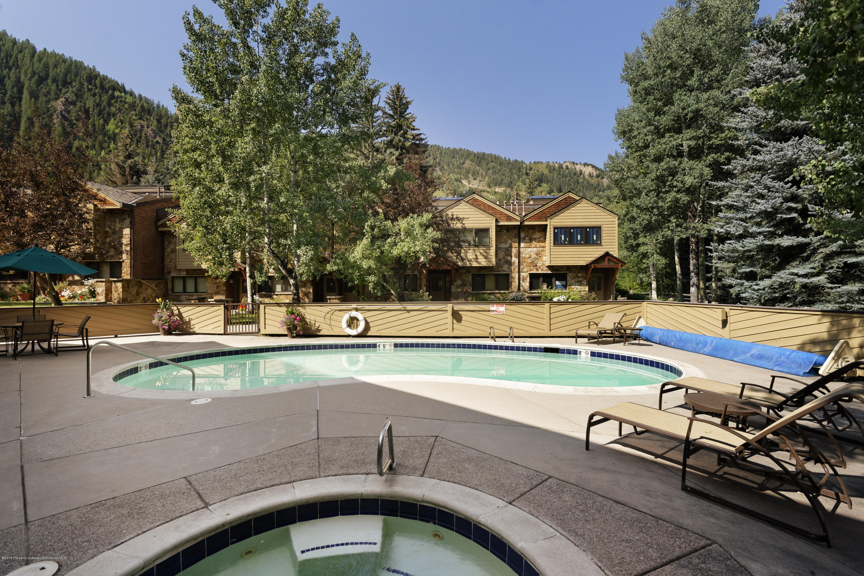 625 S West End Street Aspen CO 81611