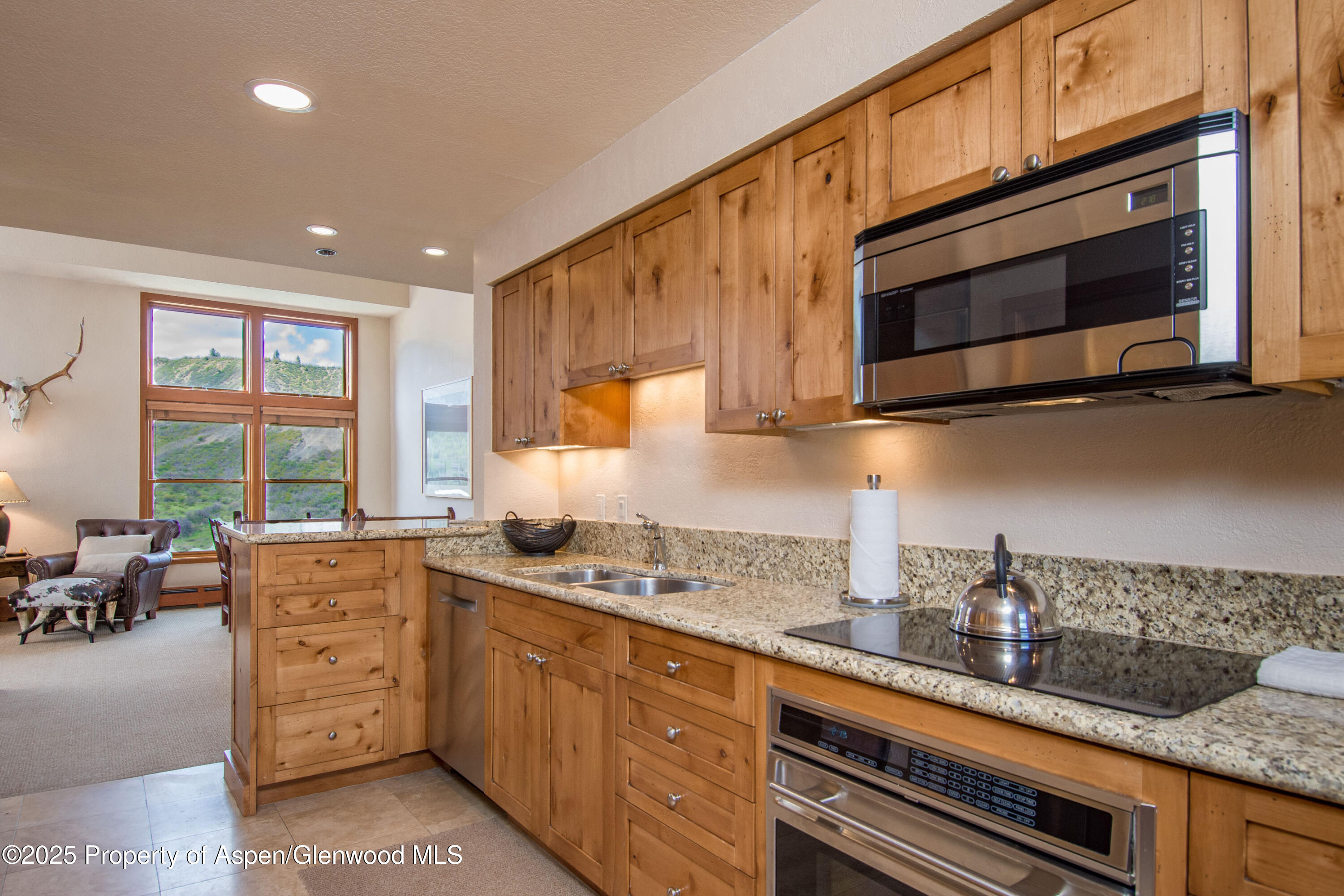 425 Wood Road Snowmass Village CO 81615