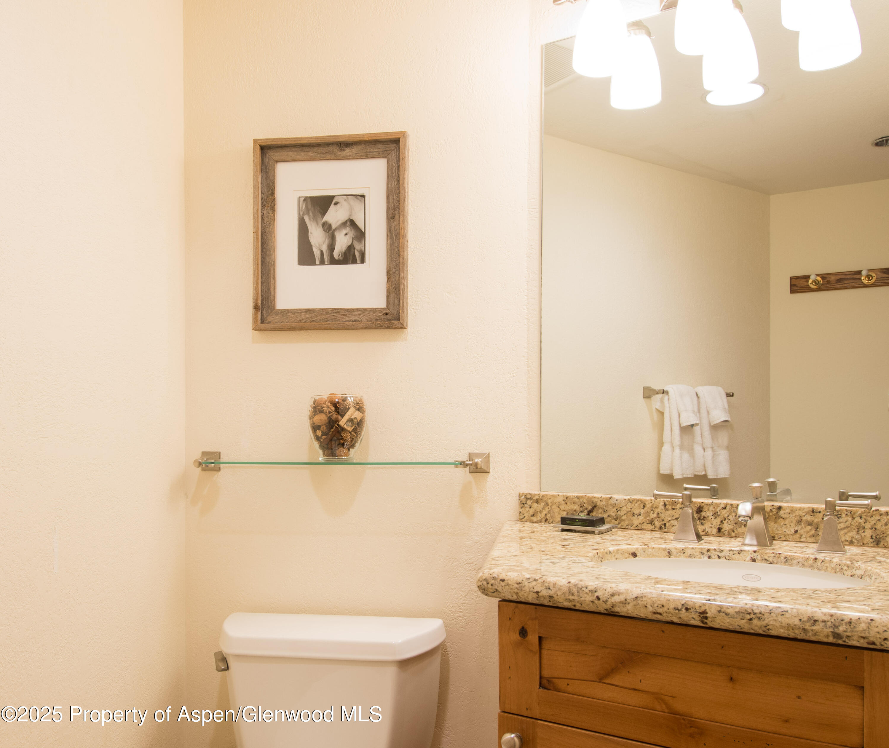 425 Wood Road Snowmass Village CO 81615