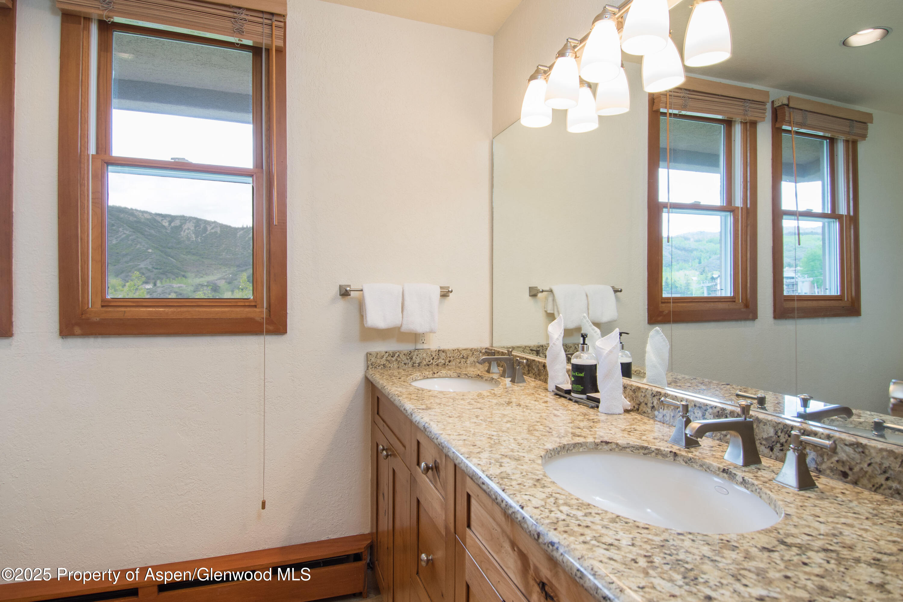 425 Wood Road Snowmass Village CO 81615