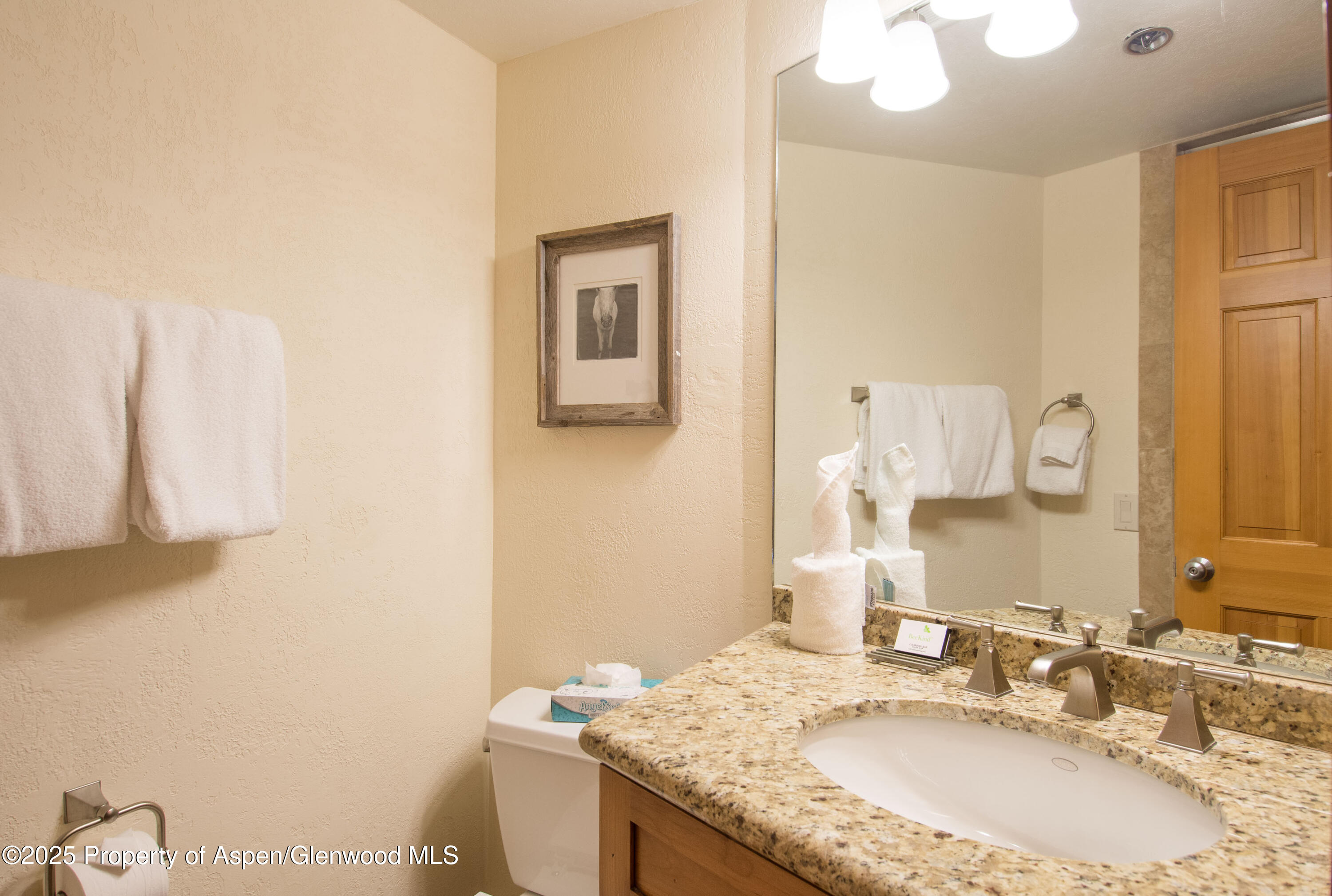 425 Wood Road Snowmass Village CO 81615