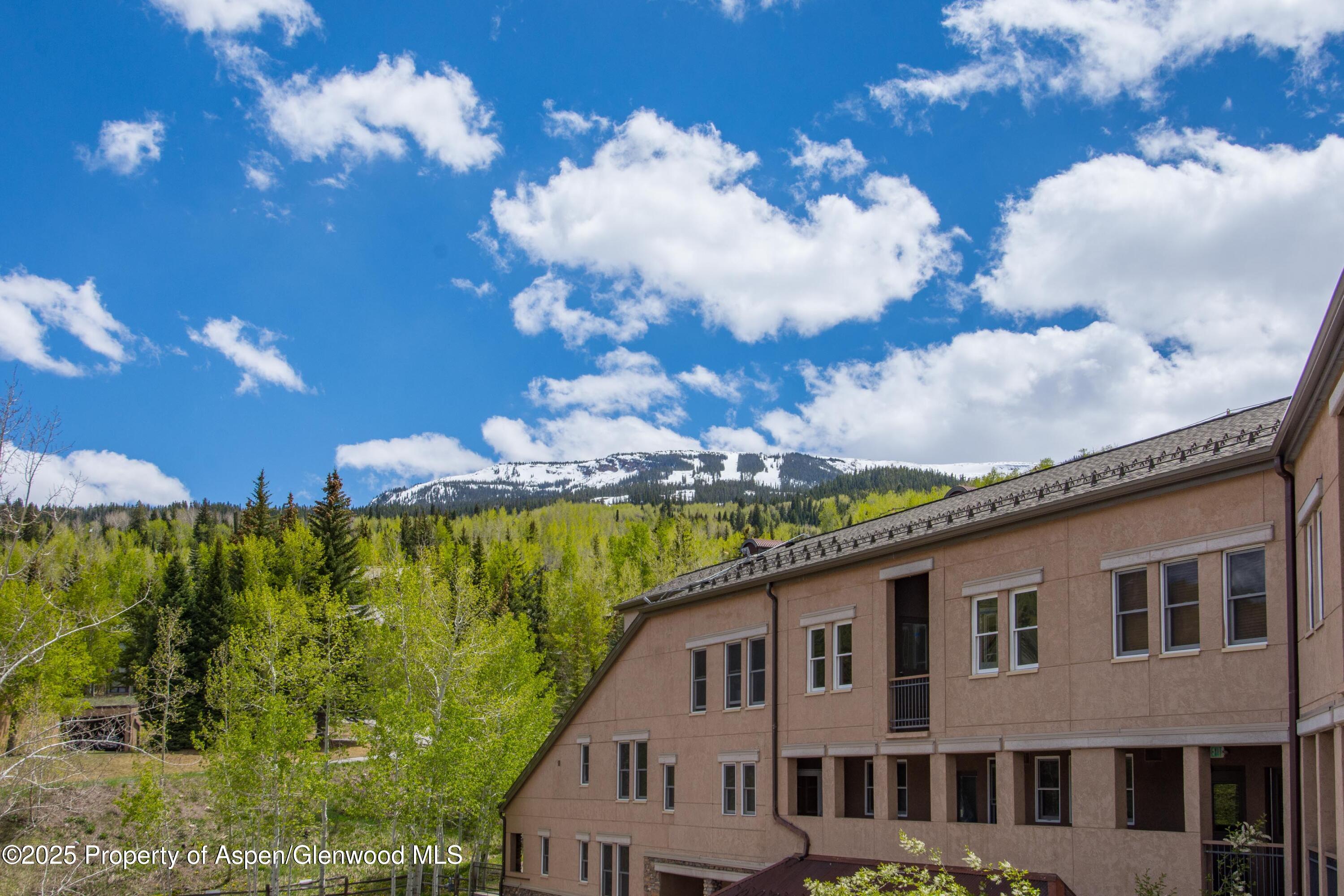 425 Wood Road Snowmass Village CO 81615
