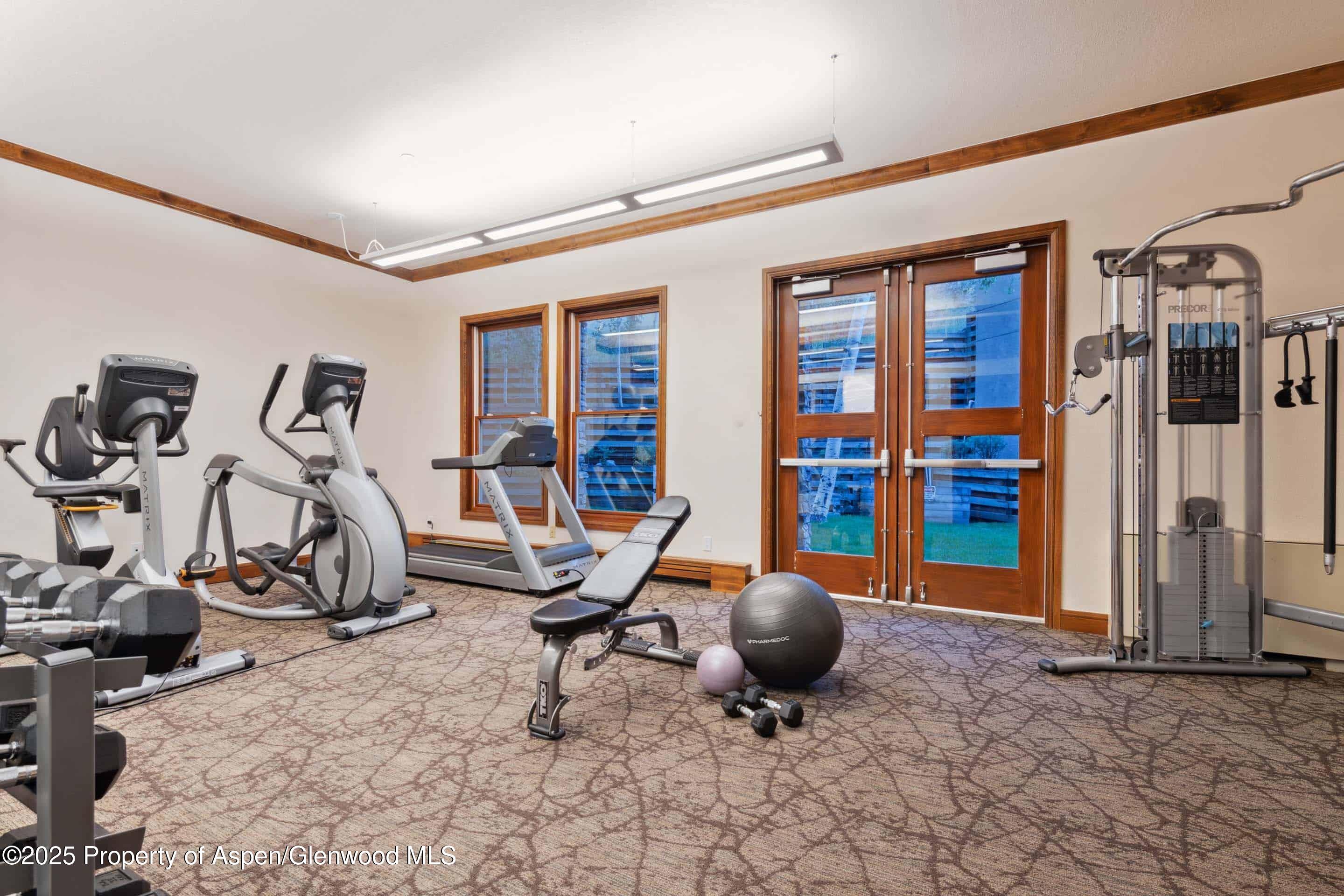 425 Wood Road Snowmass Village CO 81615