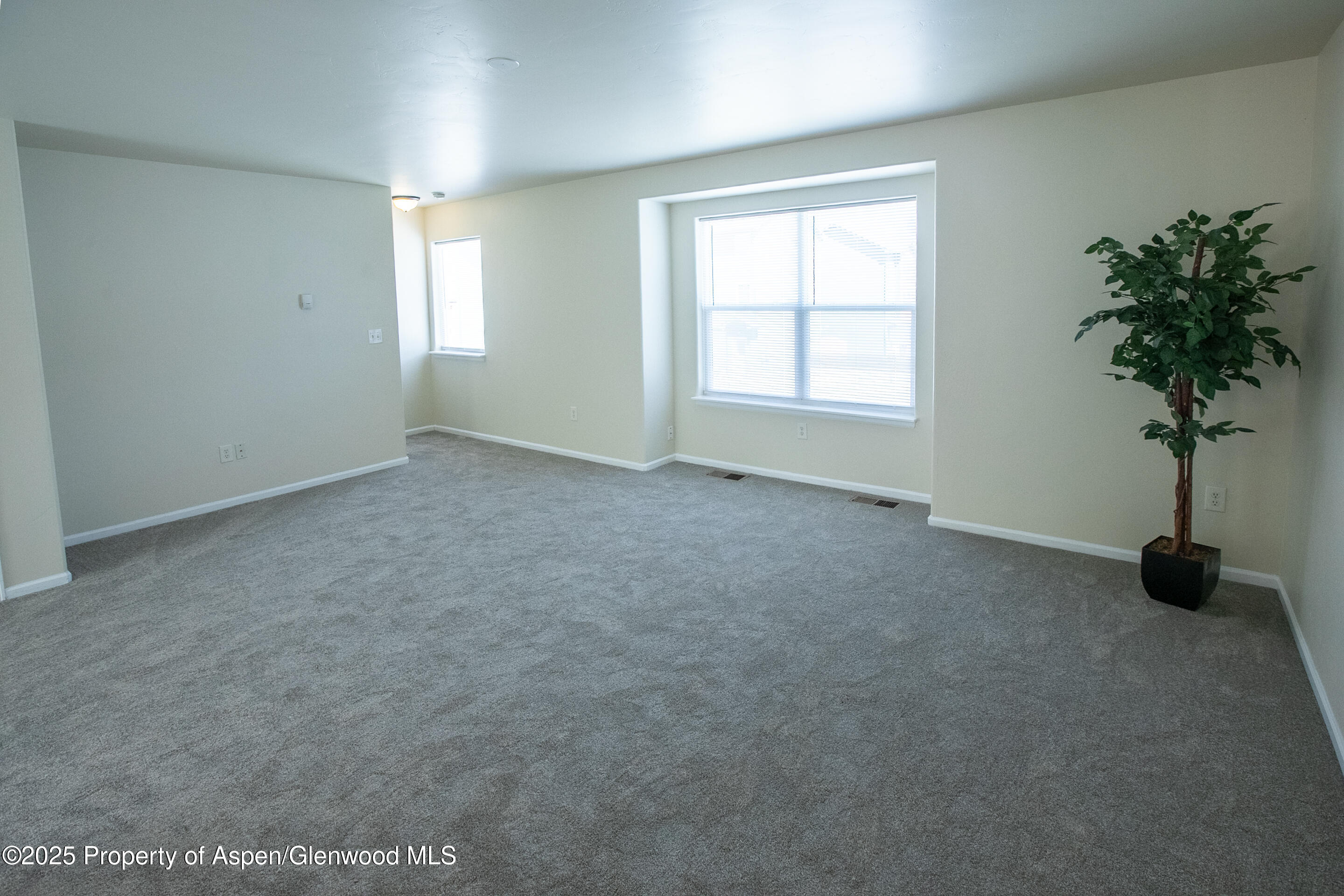 2469 Pine Lane Rifle CO 81650