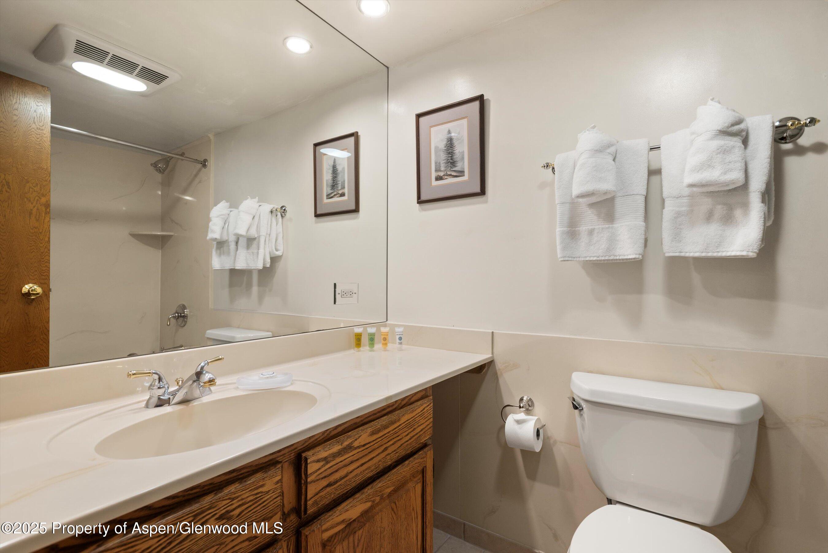 301 E Hyman Avenue Aspen CO 81611