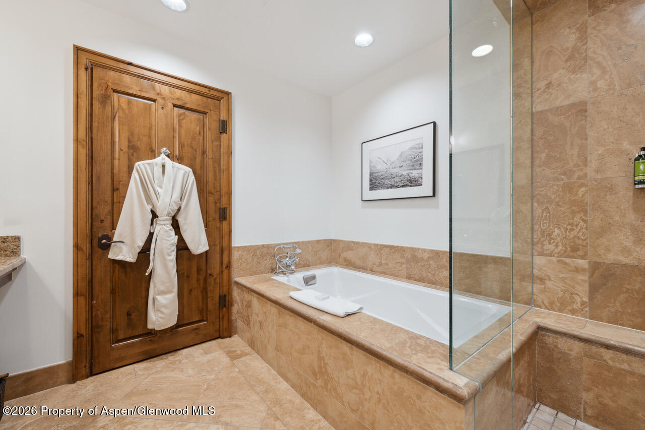 415 E Dean St, Unit 5, Week 5 Aspen CO 81611