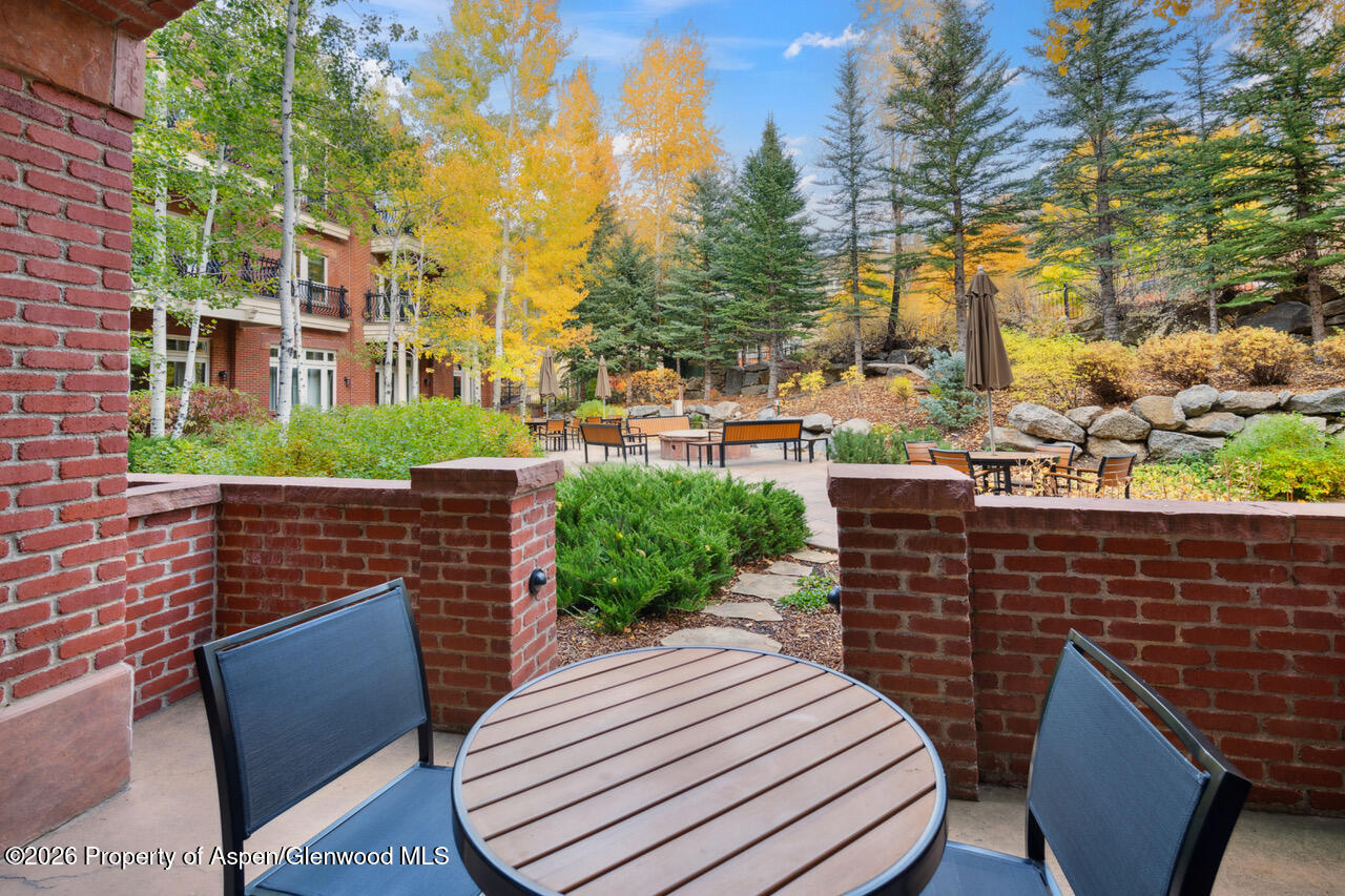 415 E Dean St, Unit 5, Week 5 Aspen CO 81611