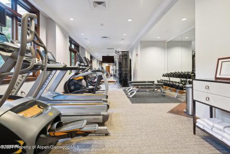 415 E Dean St, Unit 5, Week 5 Aspen CO 81611