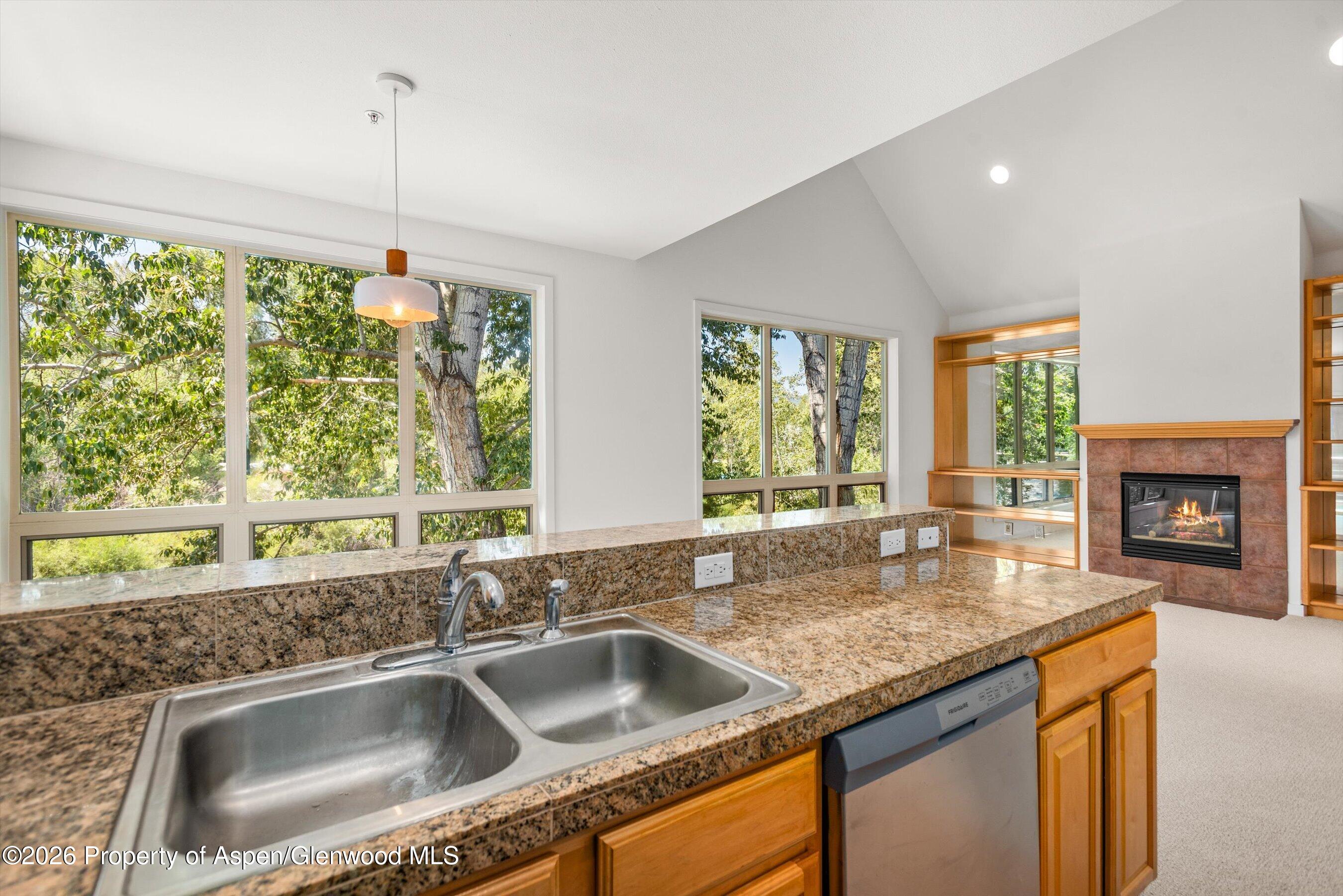 555 Gold Rivers Court Basalt CO 81621