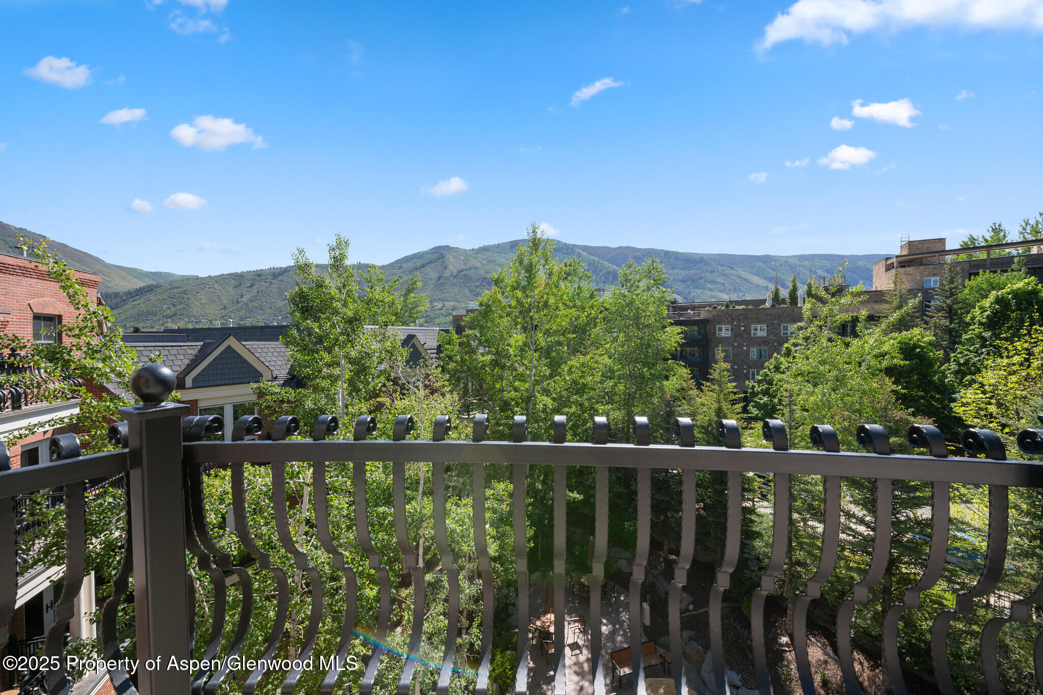 415 E Dean St., Unit 49 Week 33 Aspen CO 81611