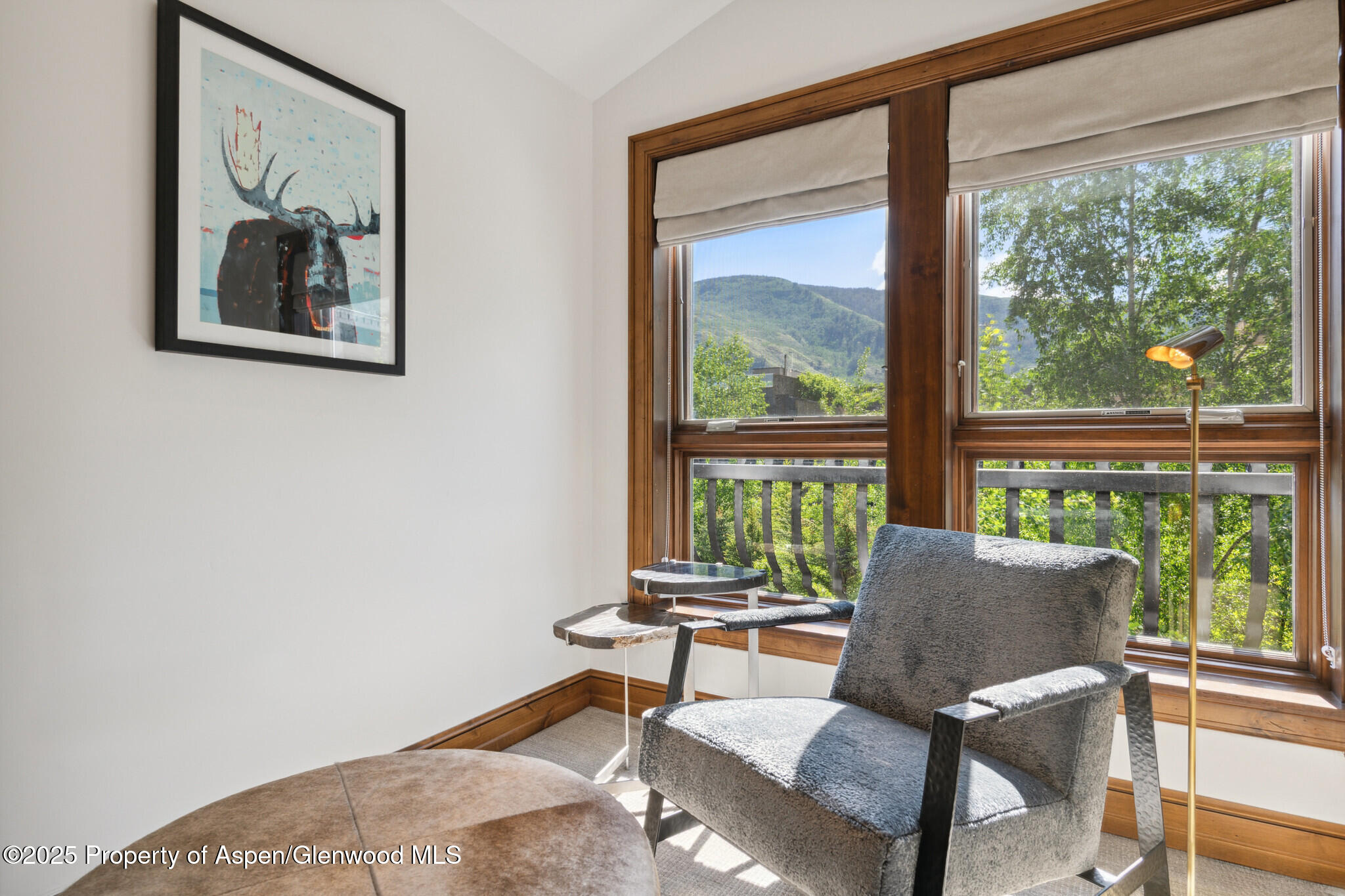 415 E Dean St., Unit 49 Week 33 Aspen CO 81611