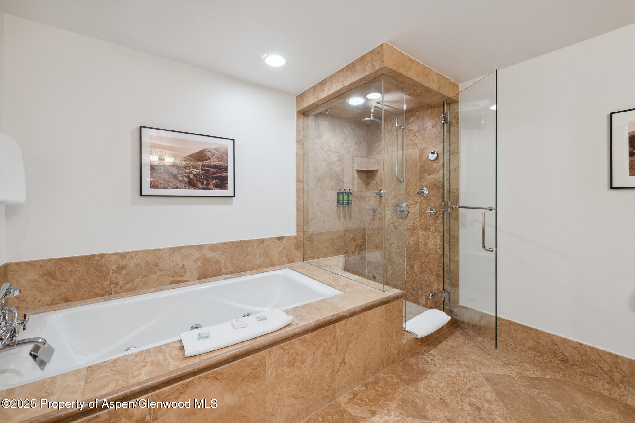 415 E Dean St., Unit 49 Week 33 Aspen CO 81611