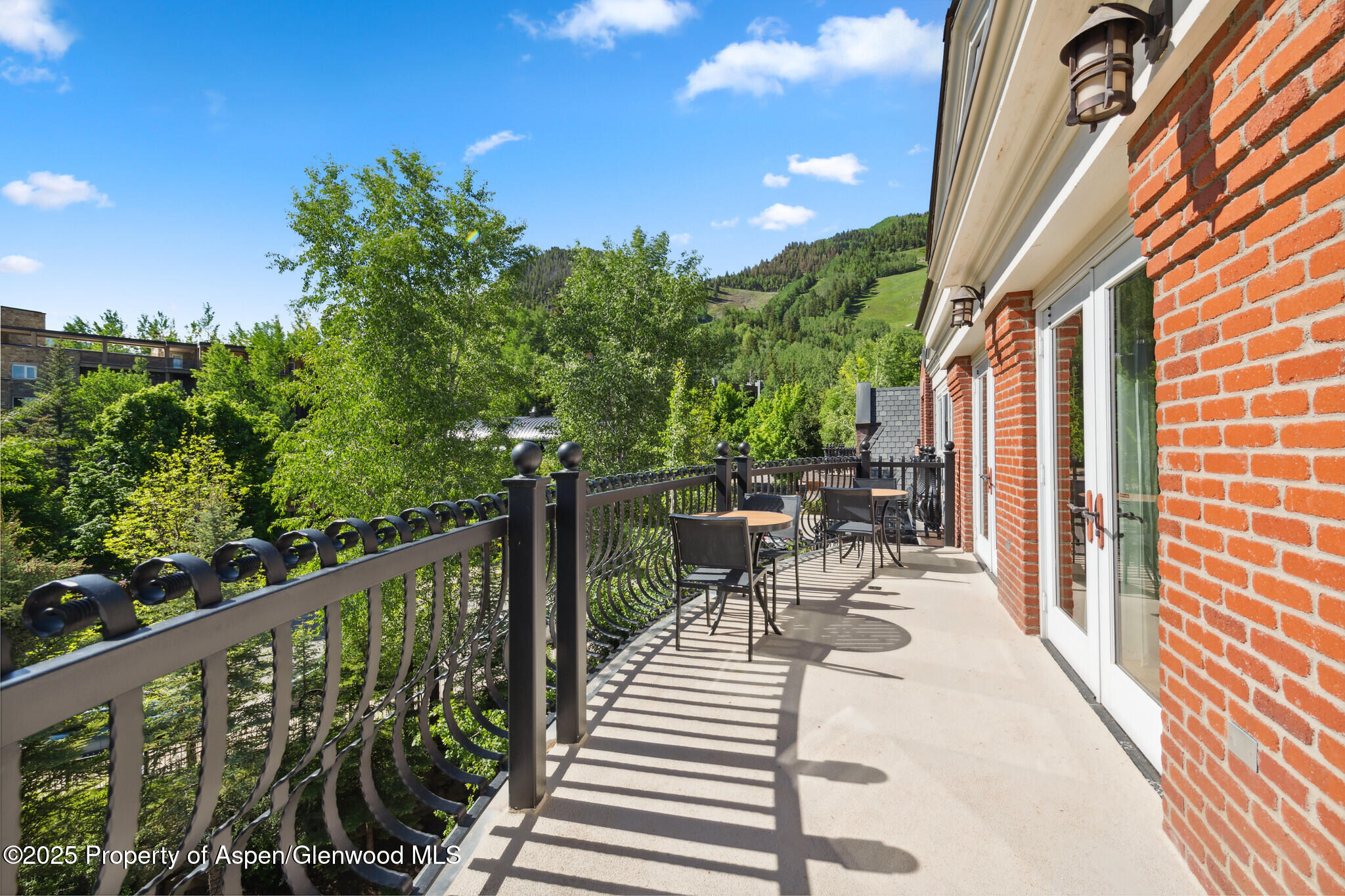 415 E Dean St., Unit 49 Week 33 Aspen CO 81611