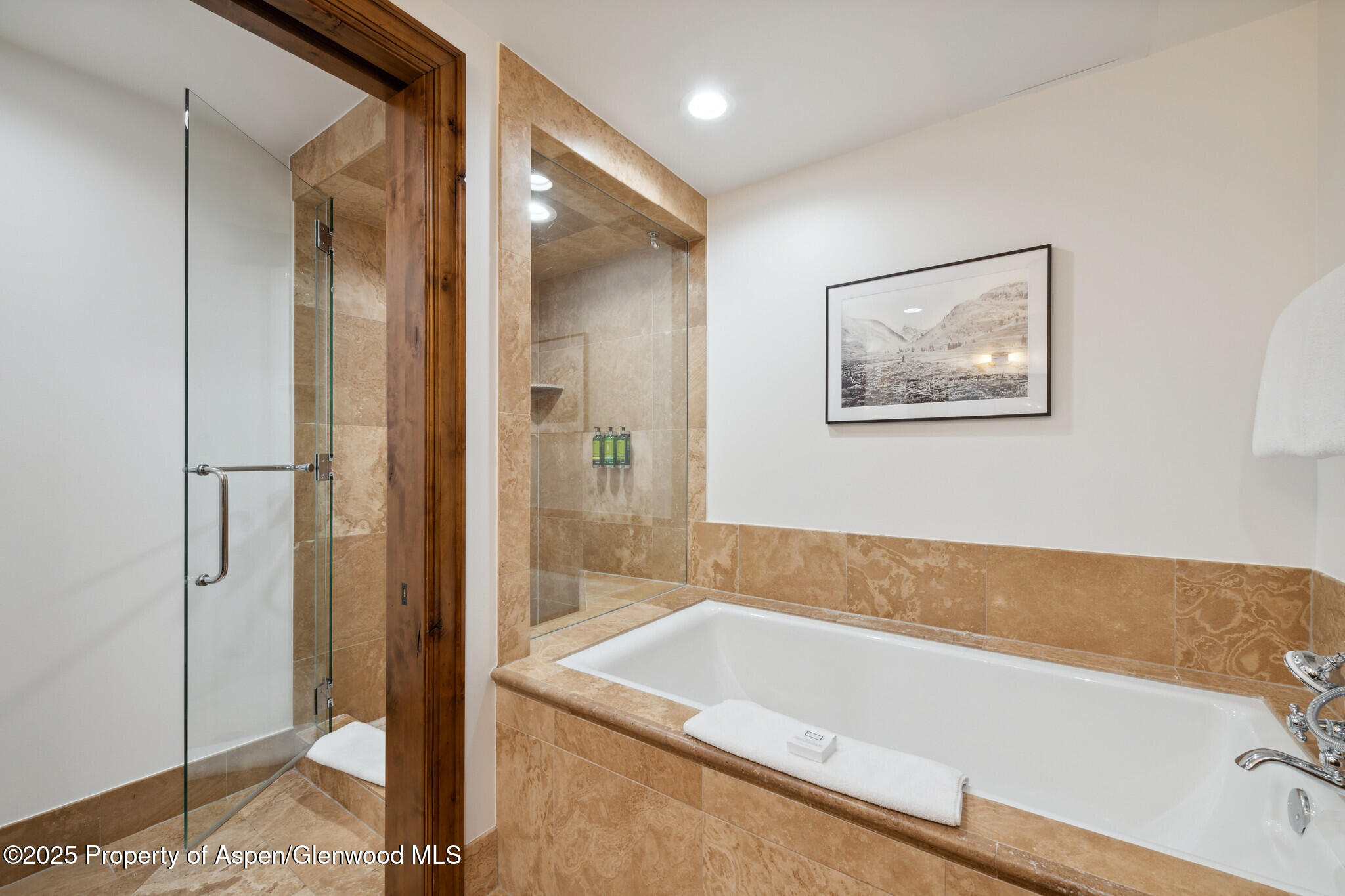 415 E Dean St., Unit 49 Week 33 Aspen CO 81611