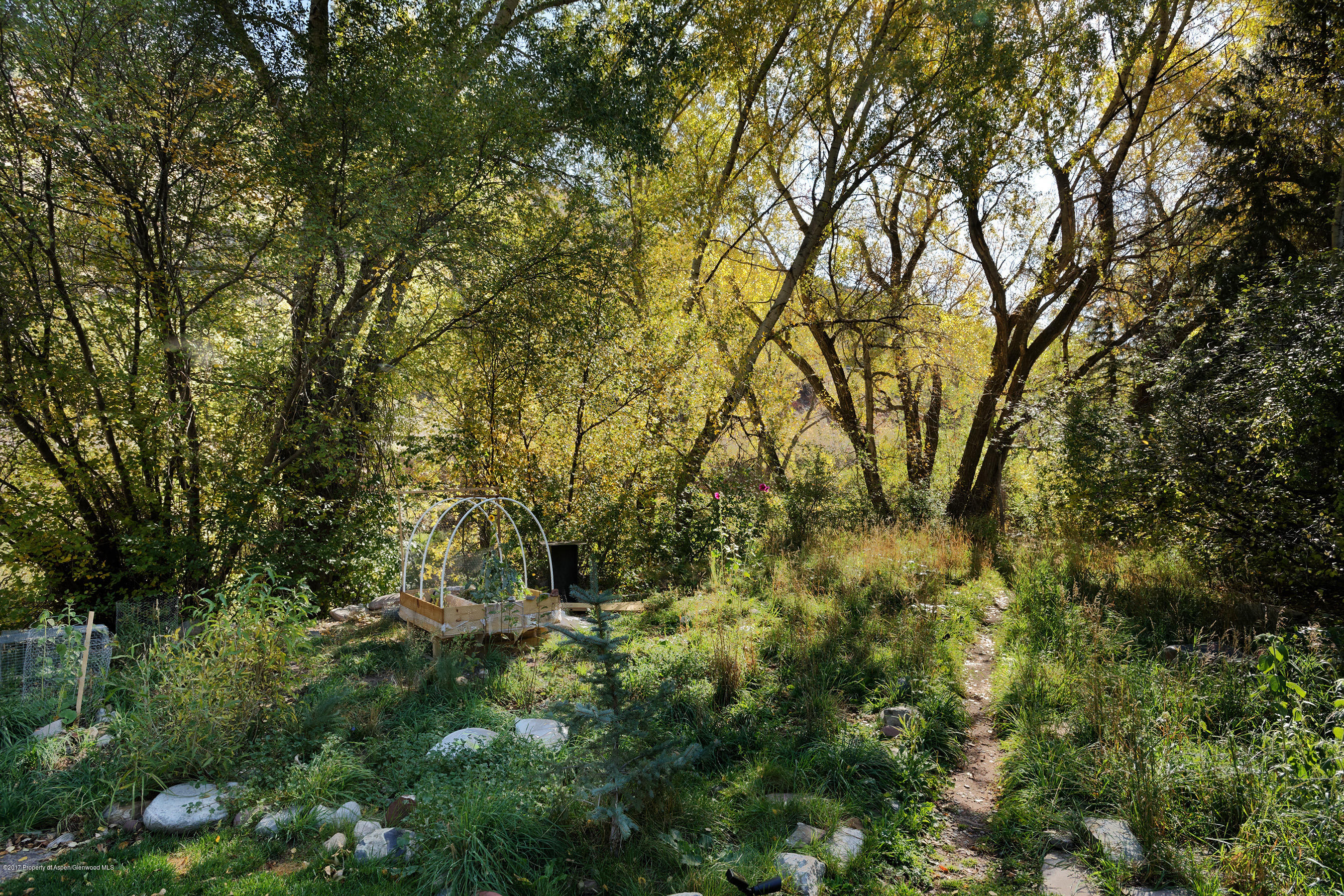307 Waterview Drive Snowmass CO 81654