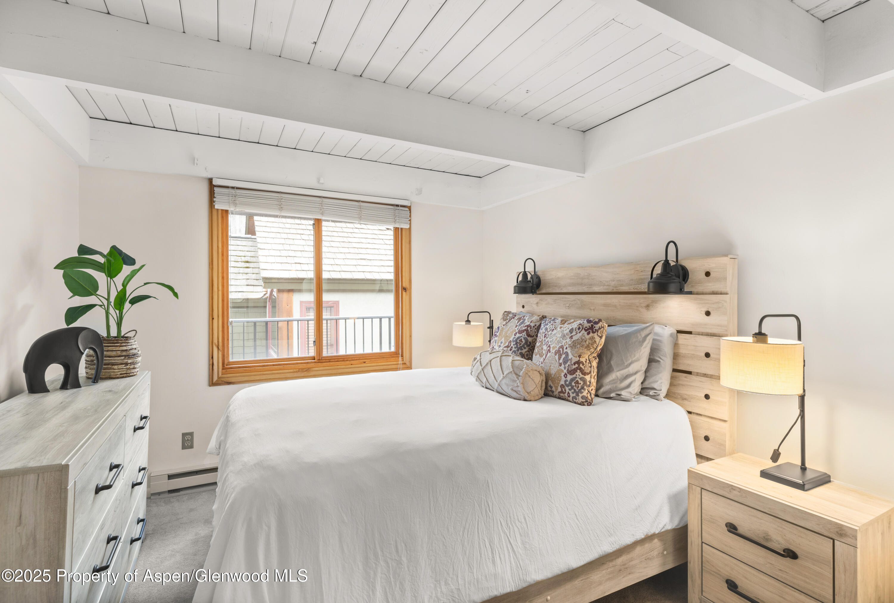 901 E Hyman Avenue Aspen CO 81611