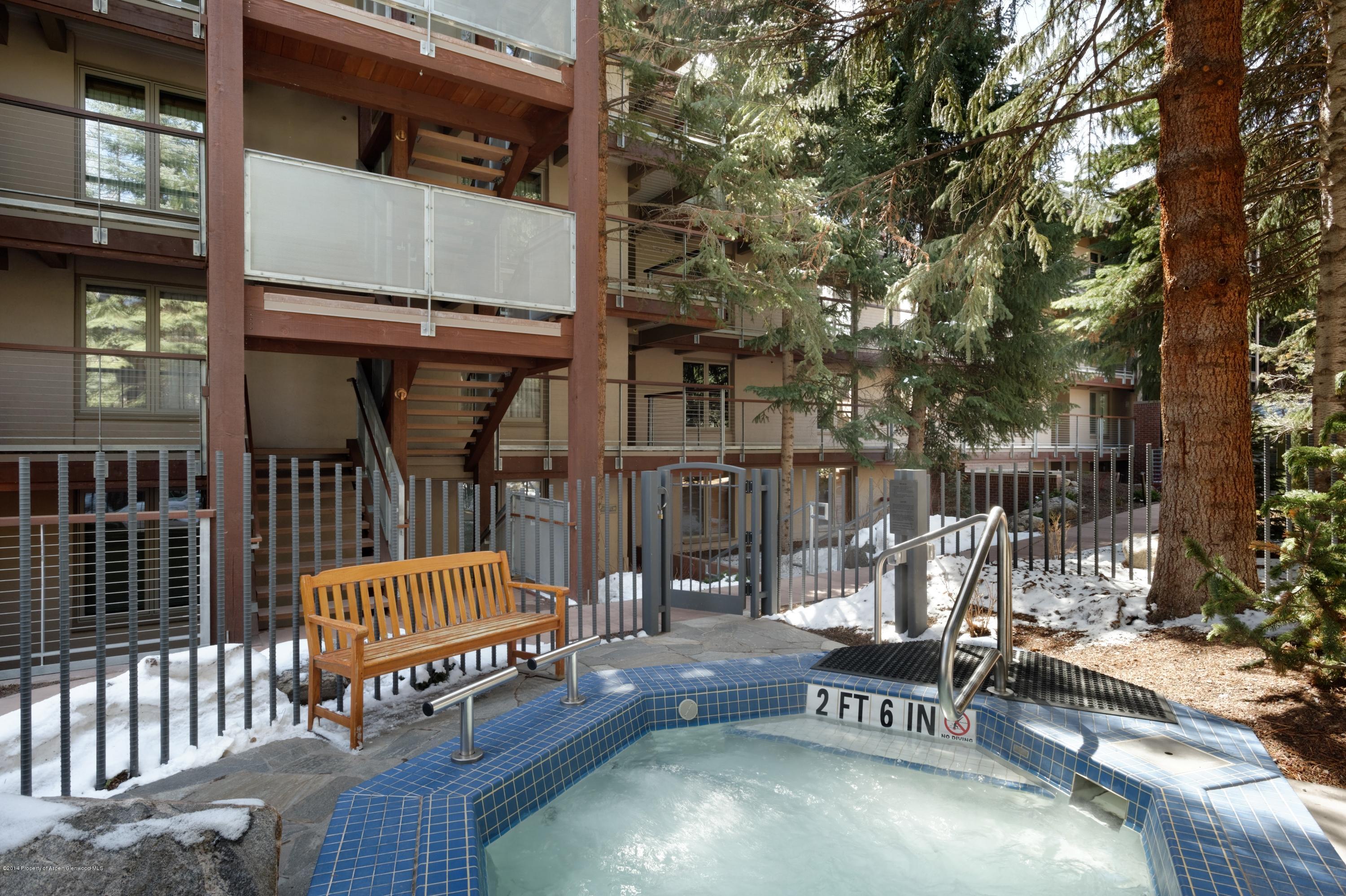1034 E Cooper Avenue Aspen CO 81611