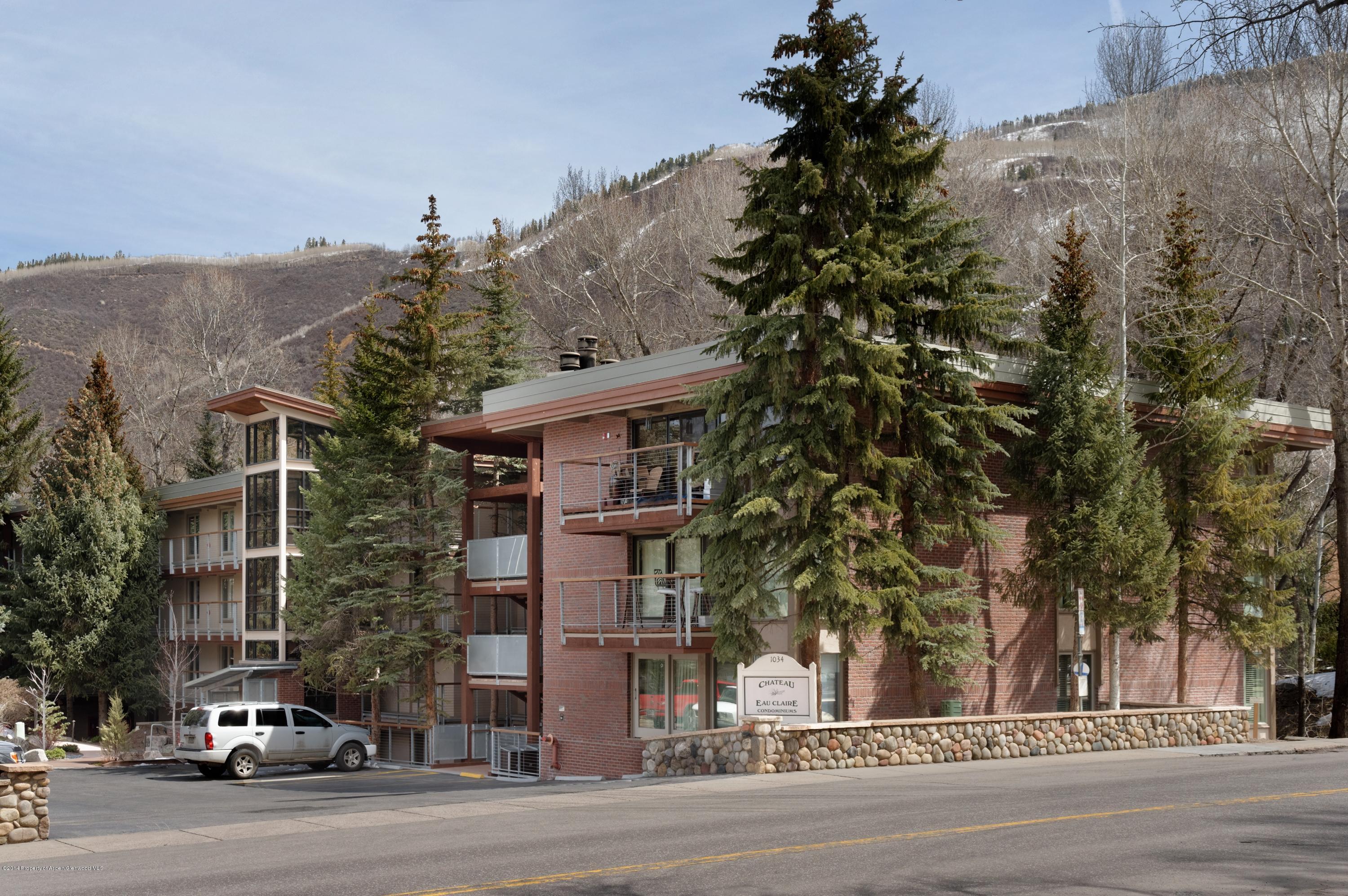 1034 E Cooper Avenue Aspen CO 81611