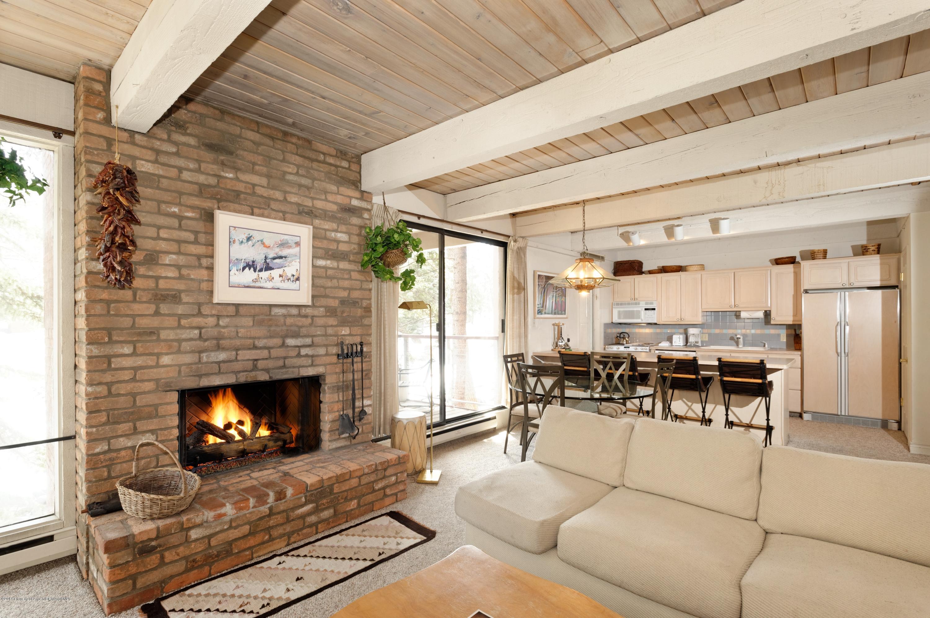 1034 E Cooper Avenue Aspen CO 81611