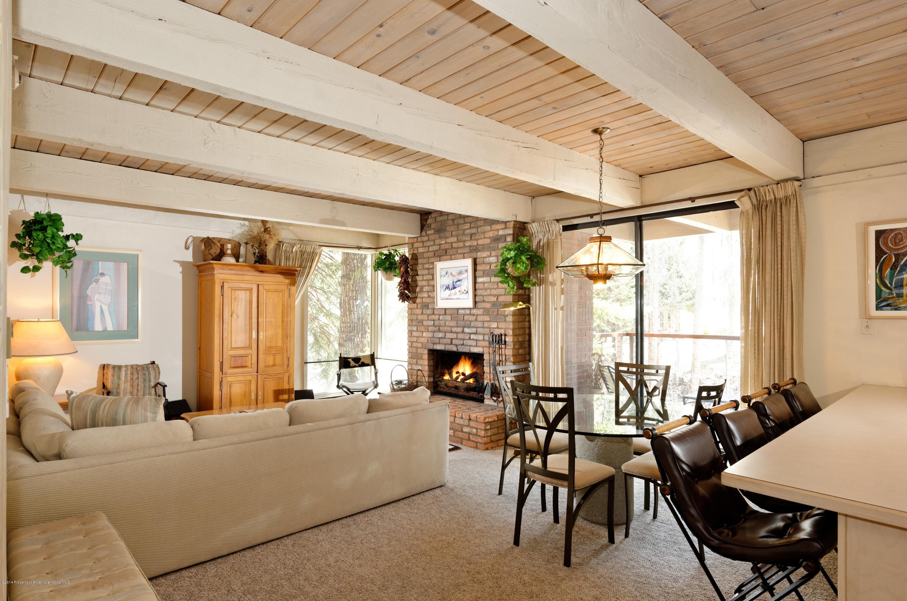 1034 E Cooper Avenue Aspen CO 81611