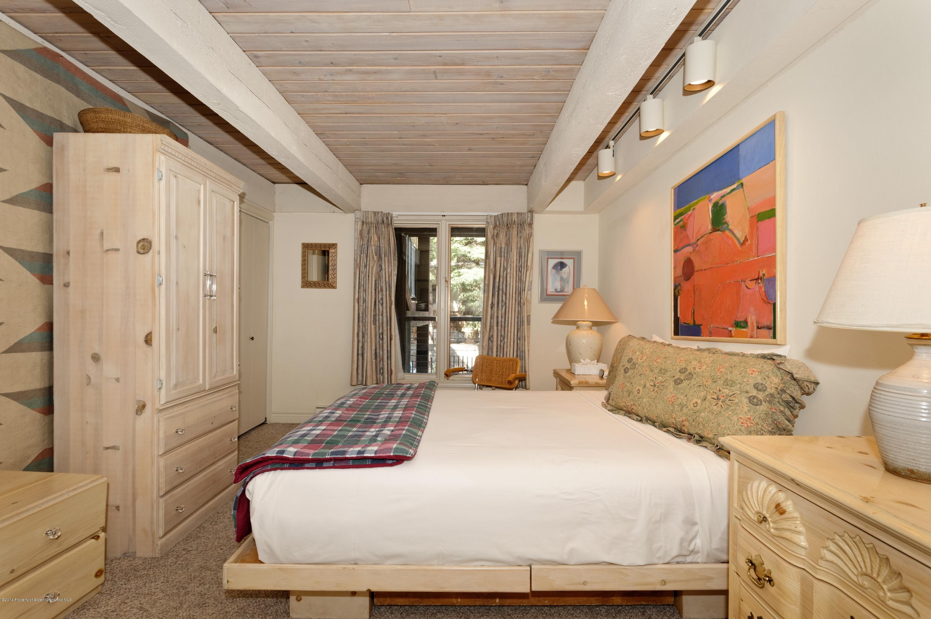 1034 E Cooper Avenue Aspen CO 81611