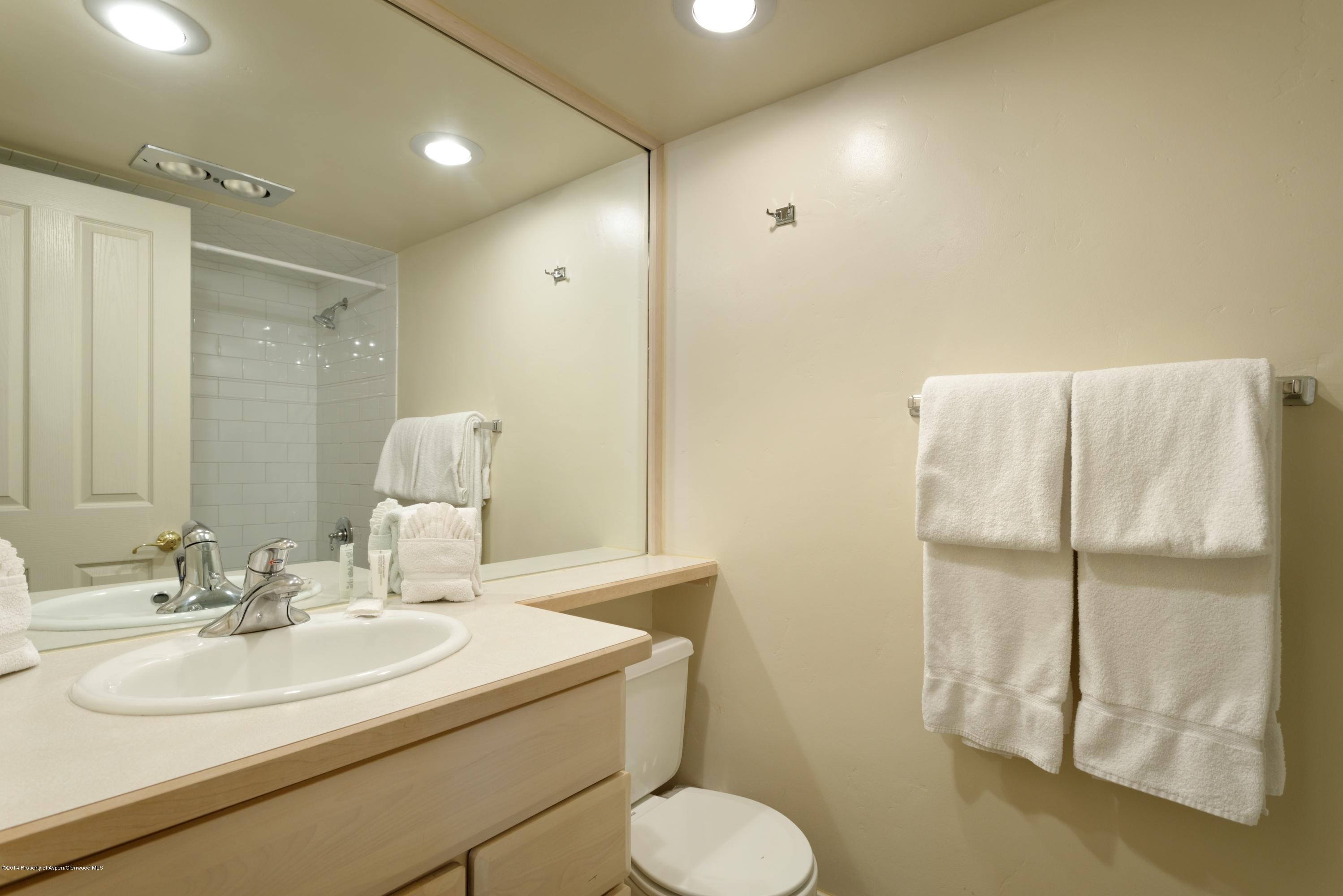 1034 E Cooper Avenue Aspen CO 81611
