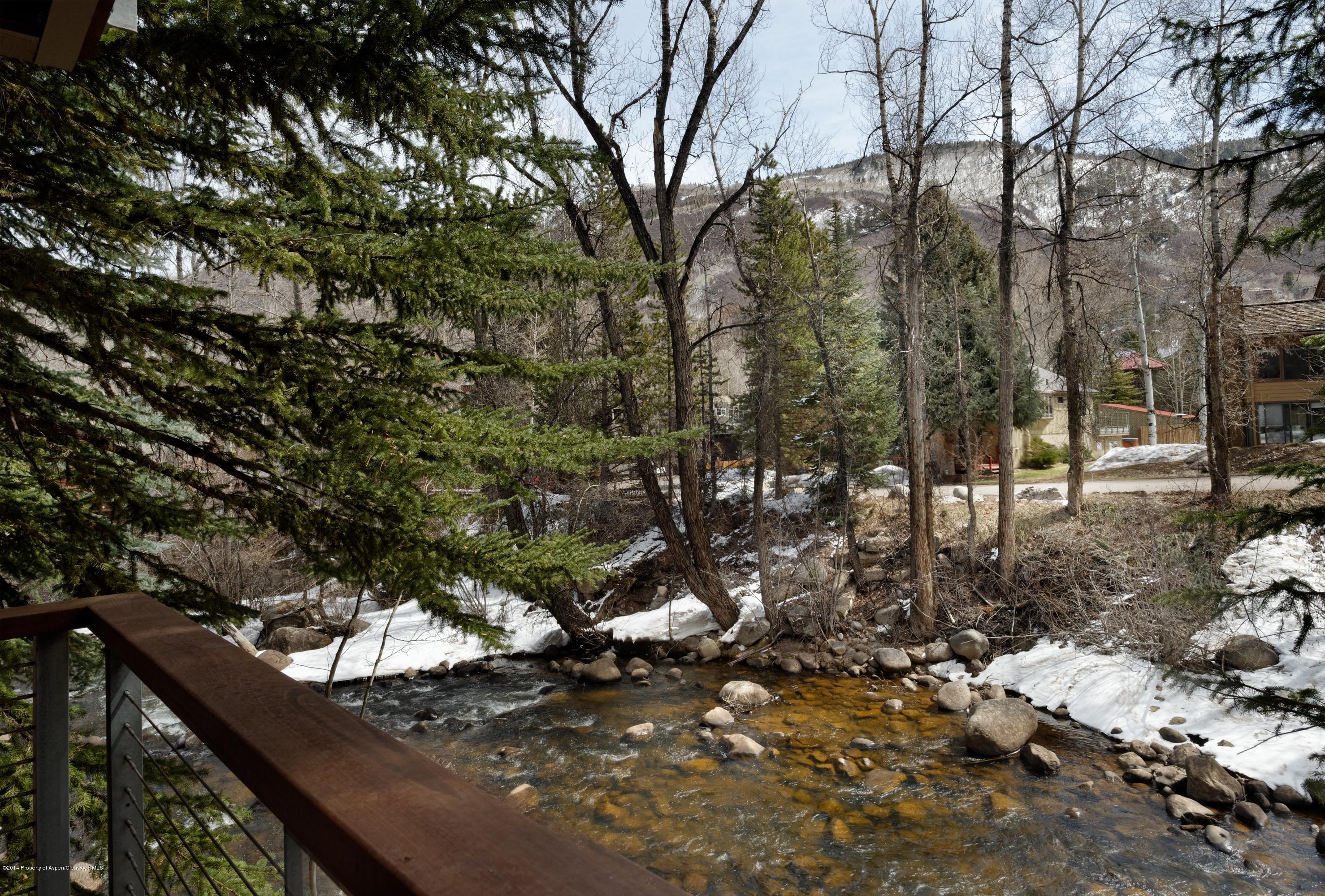 1034 E Cooper Avenue Aspen CO 81611