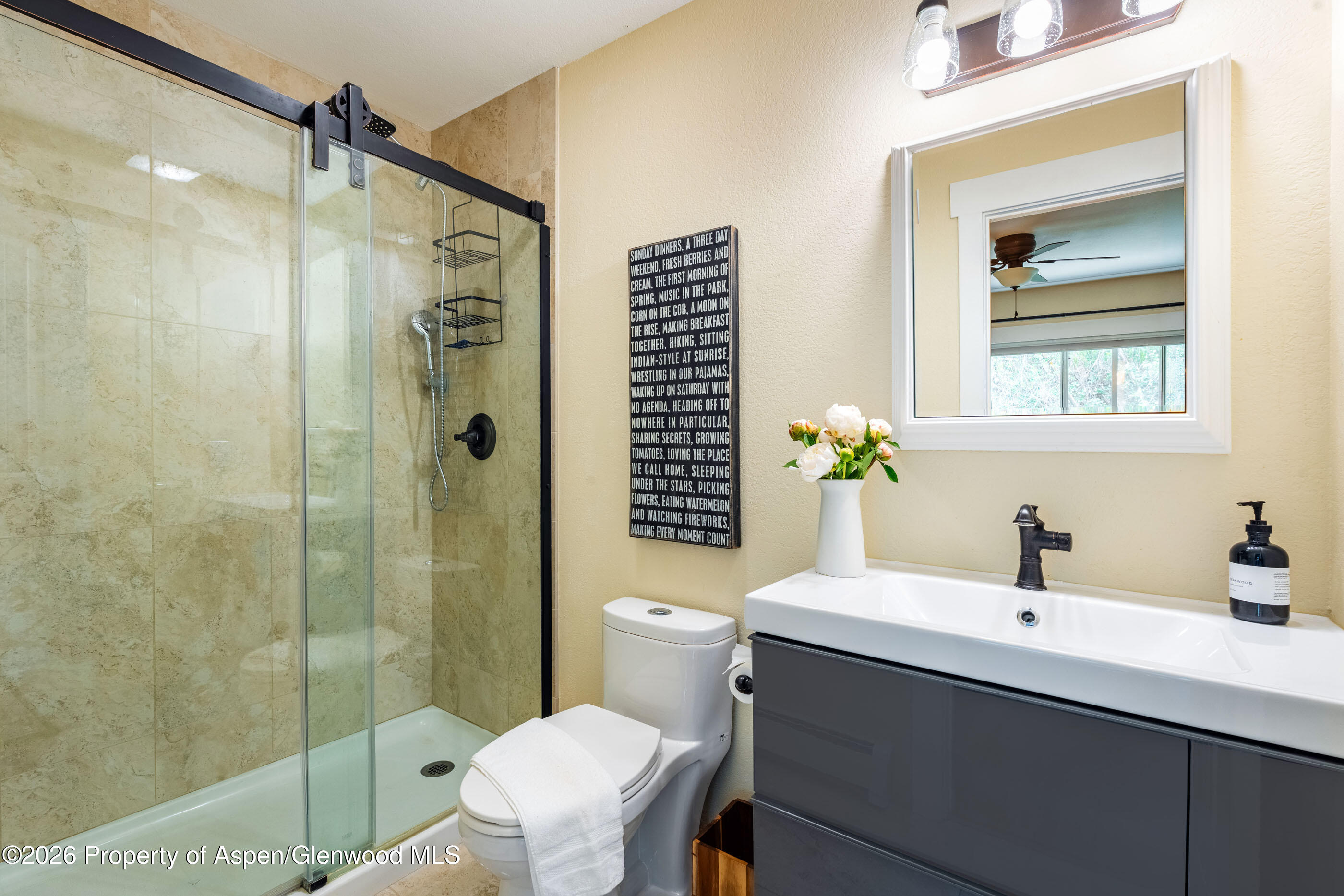 323 Park Avenue Basalt CO 81621