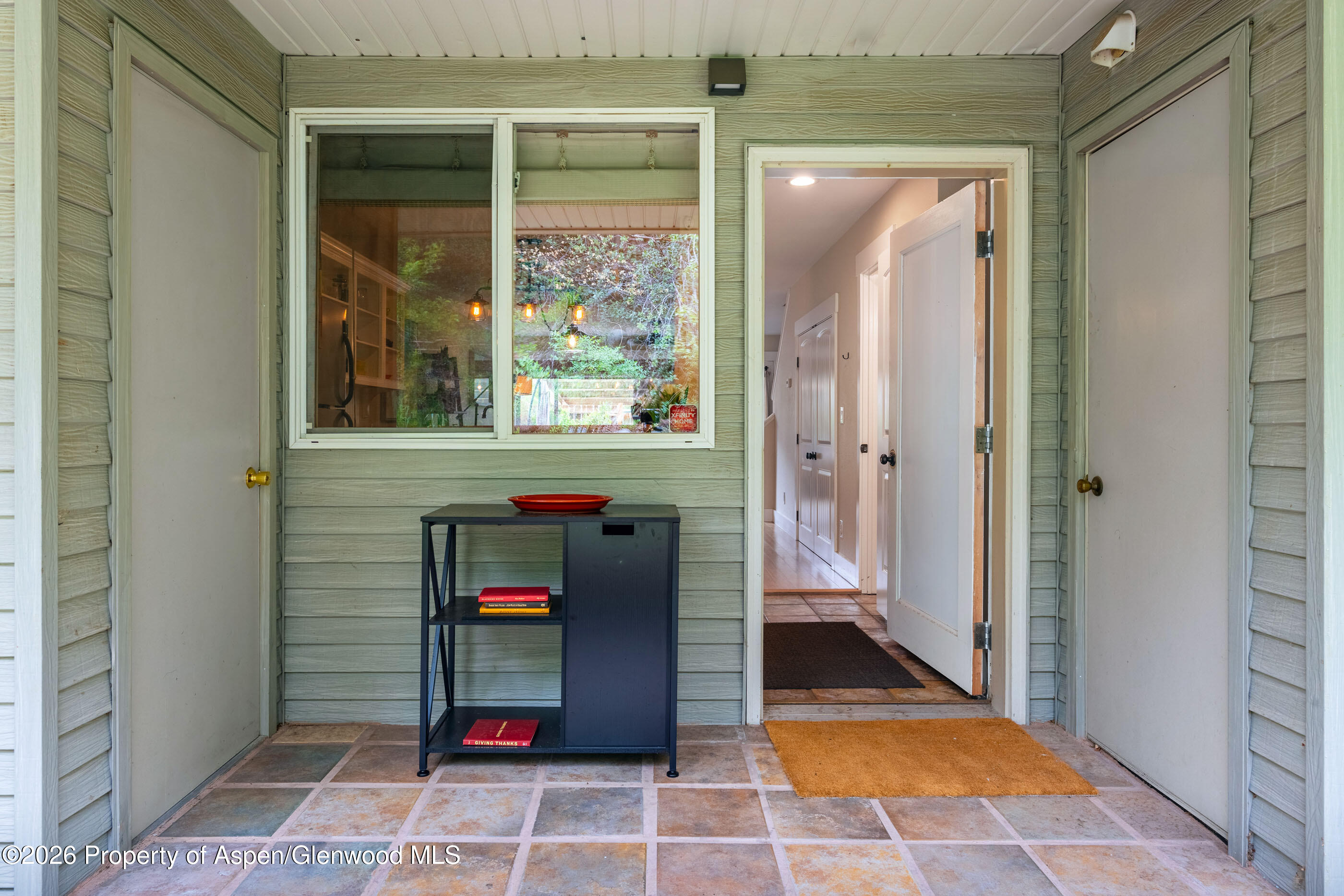 323 Park Avenue Basalt CO 81621