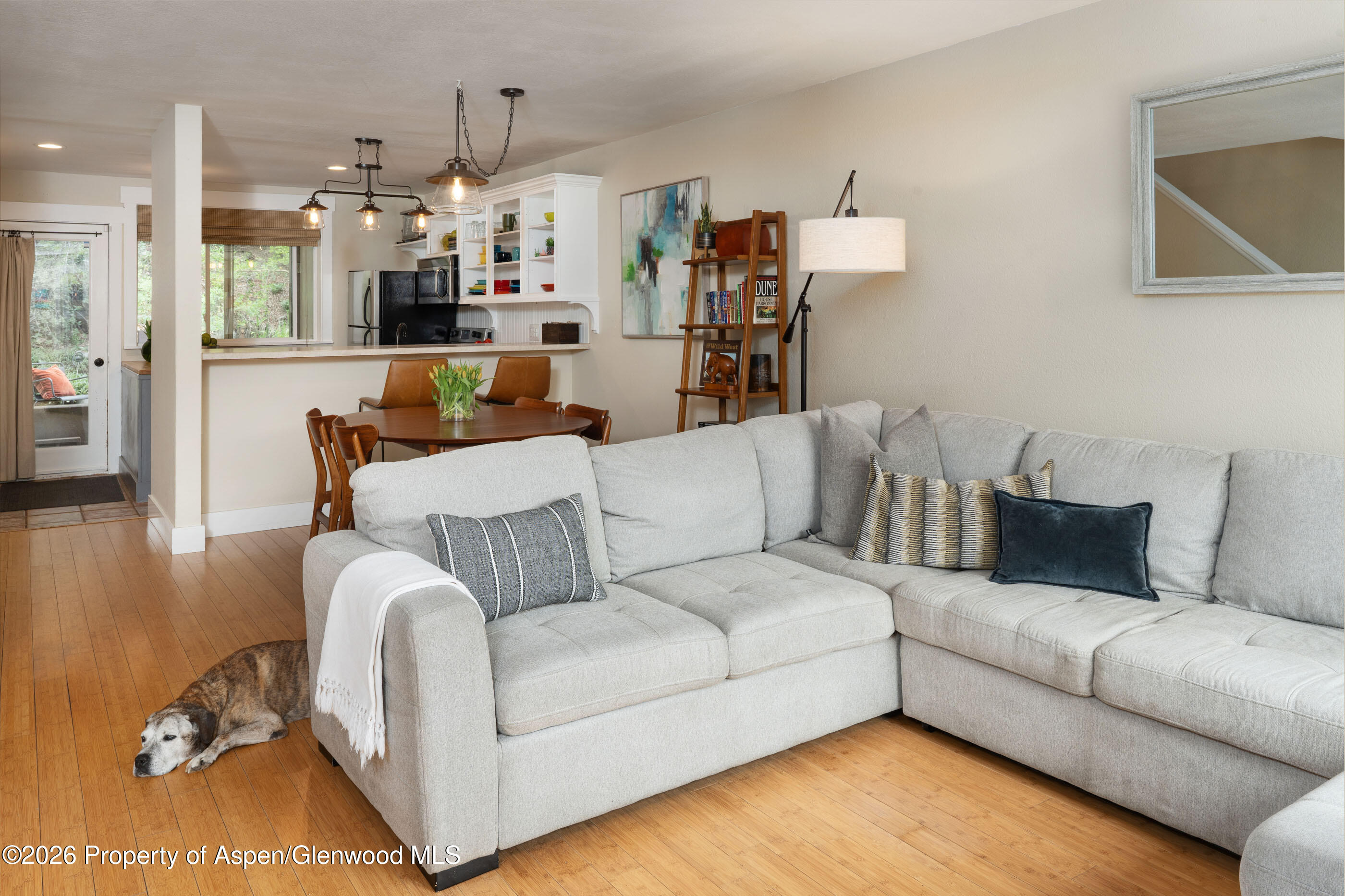 323 Park Avenue Basalt CO 81621
