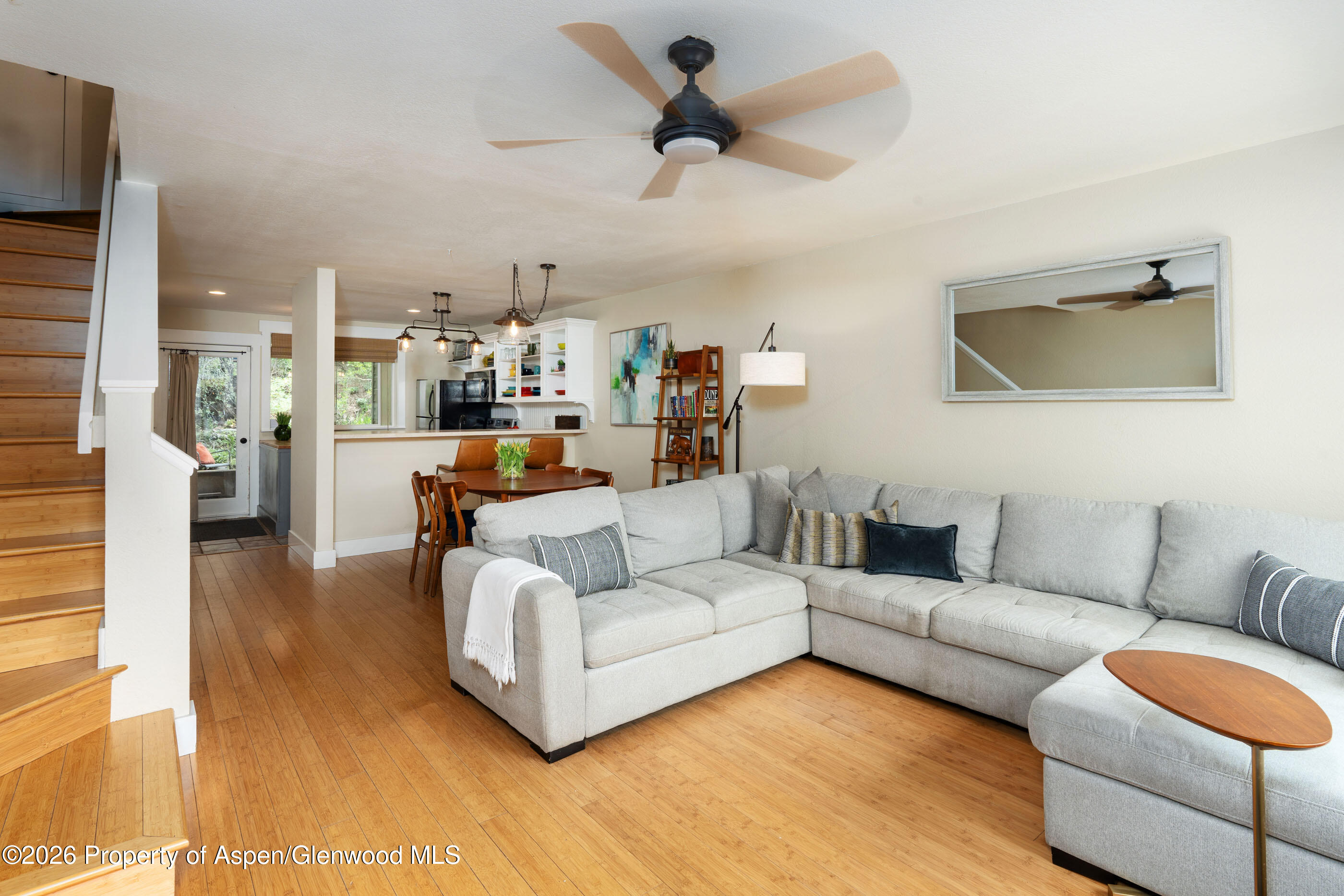 323 Park Avenue Basalt CO 81621