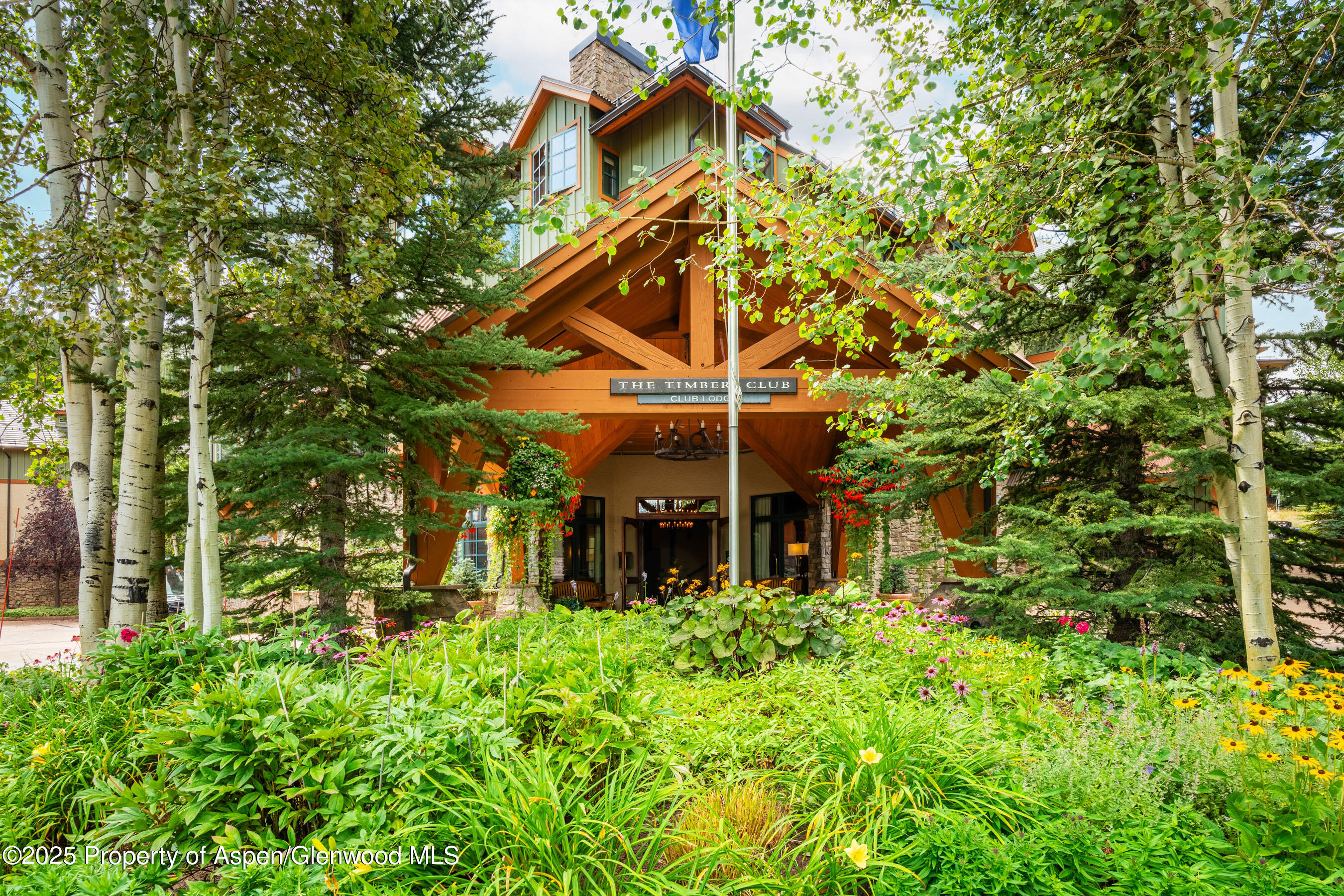 96 Timbers Club Court Snowmass Village CO 81615