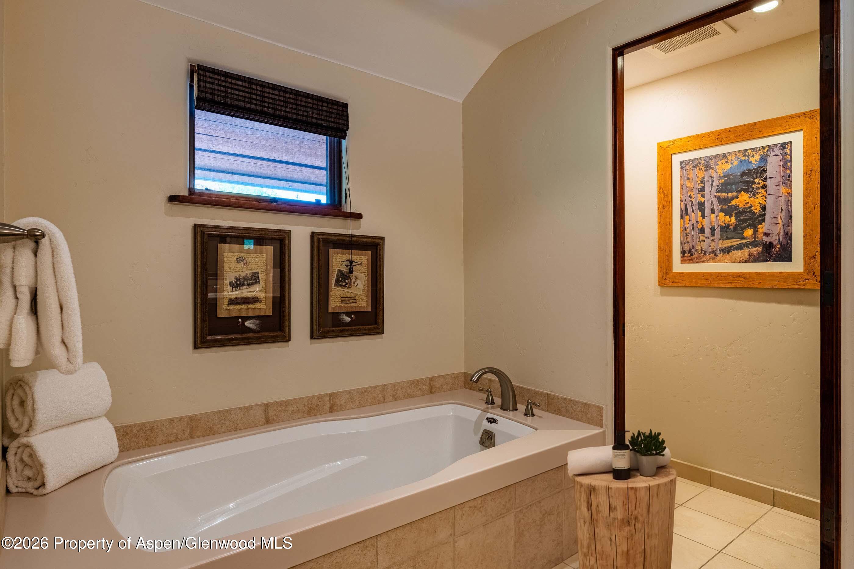 96 Timbers Club Court Snowmass Village CO 81615