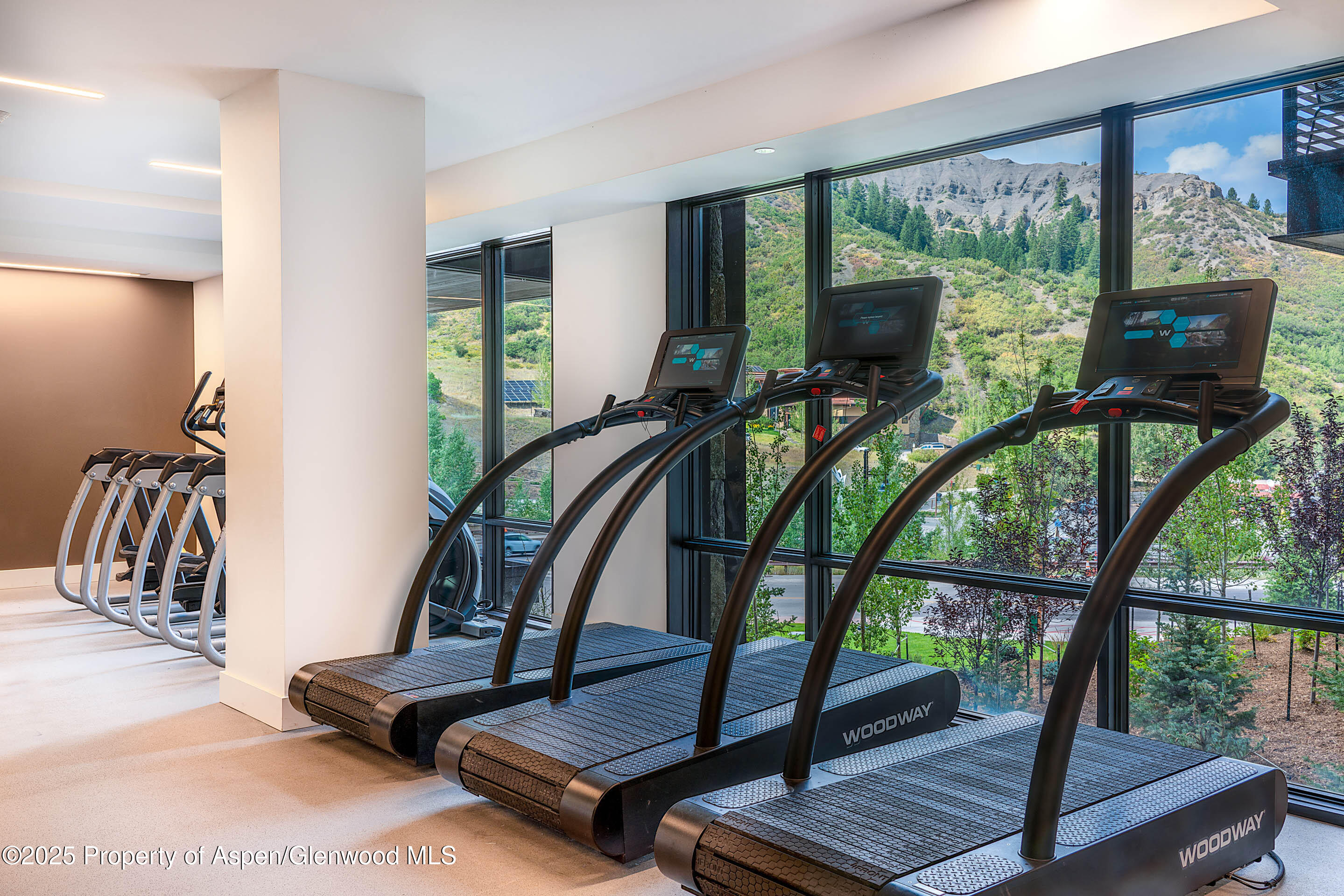 77 Wood Road Snowmass Village CO 81615