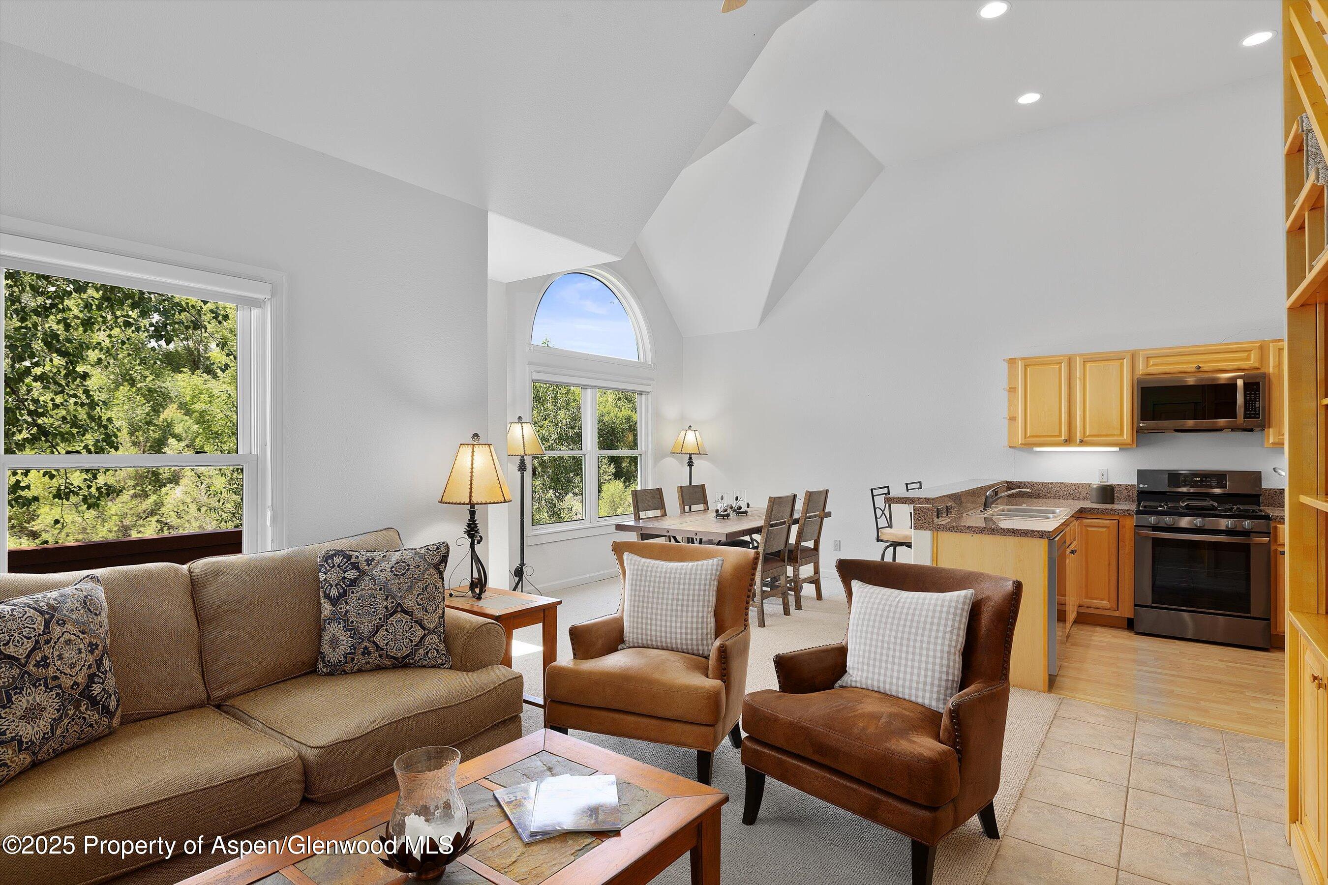 655 Gold Rivers Court Basalt CO 81621