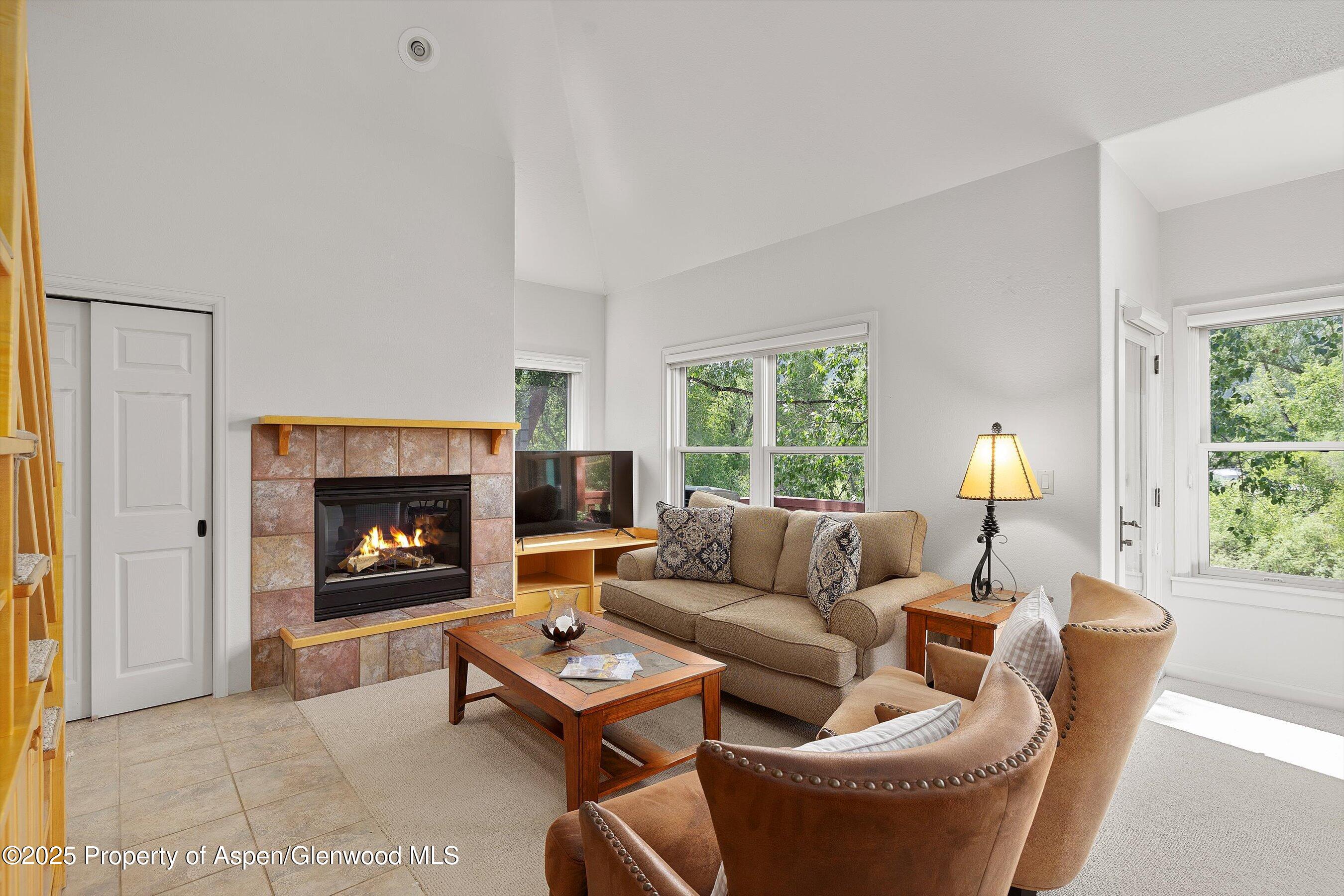 655 Gold Rivers Court Basalt CO 81621