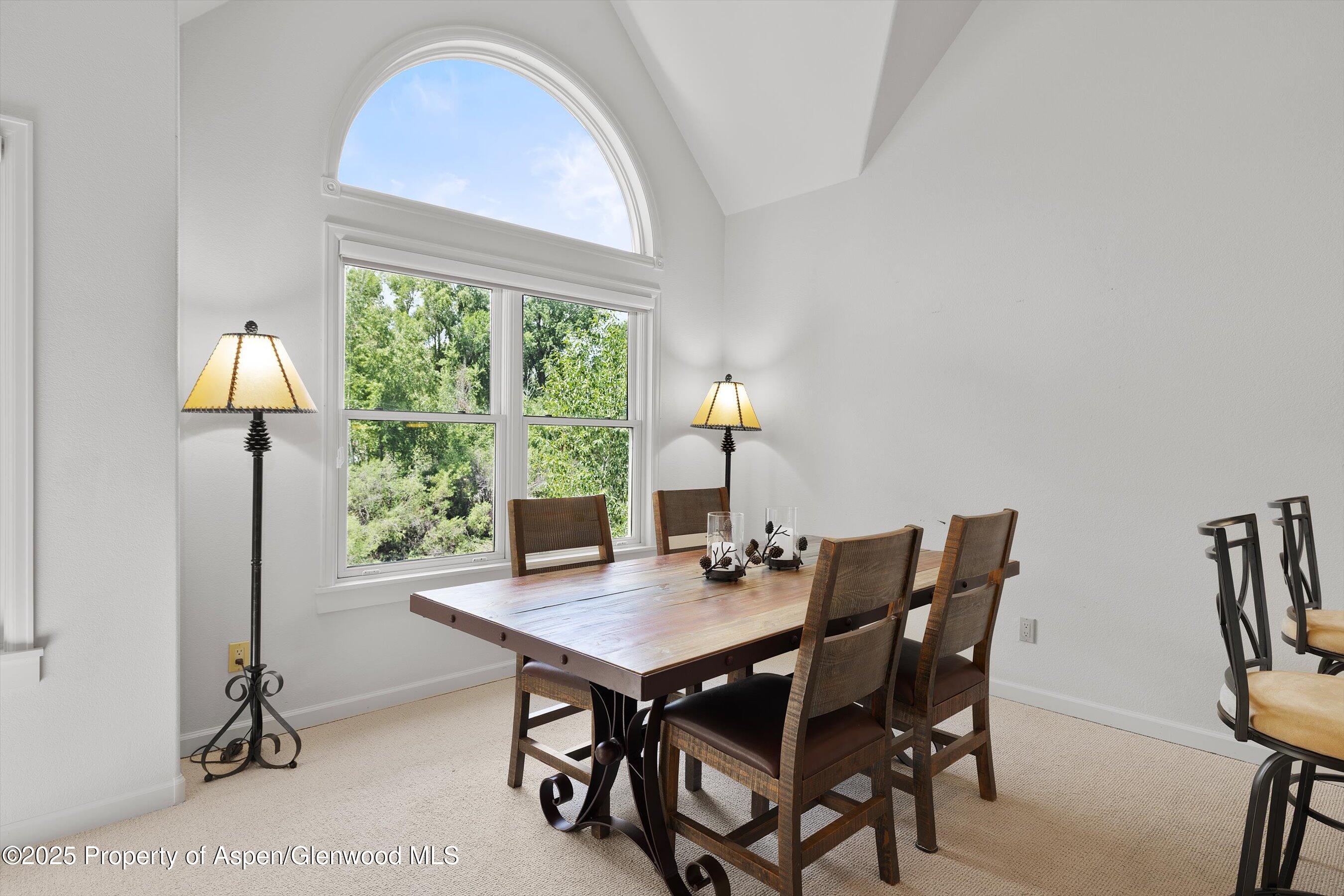 655 Gold Rivers Court Basalt CO 81621