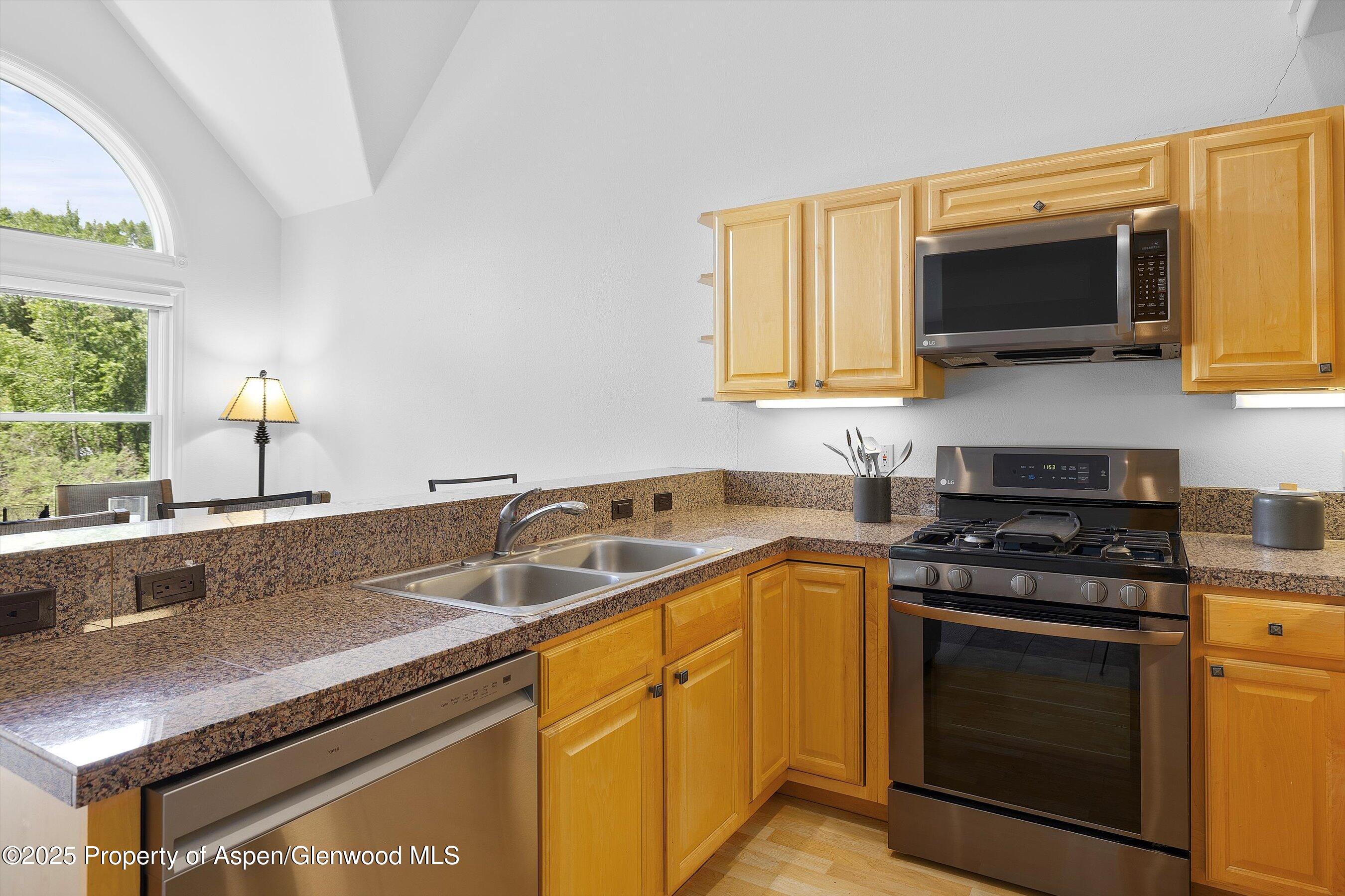 655 Gold Rivers Court Basalt CO 81621