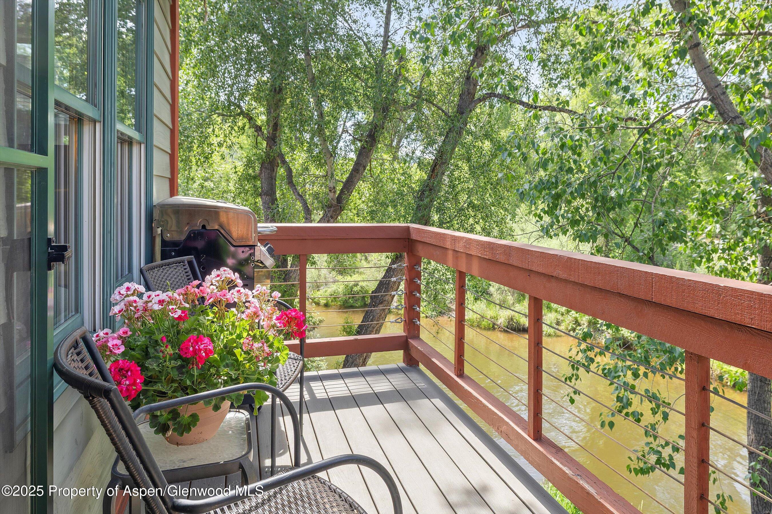 655 Gold Rivers Court Basalt CO 81621