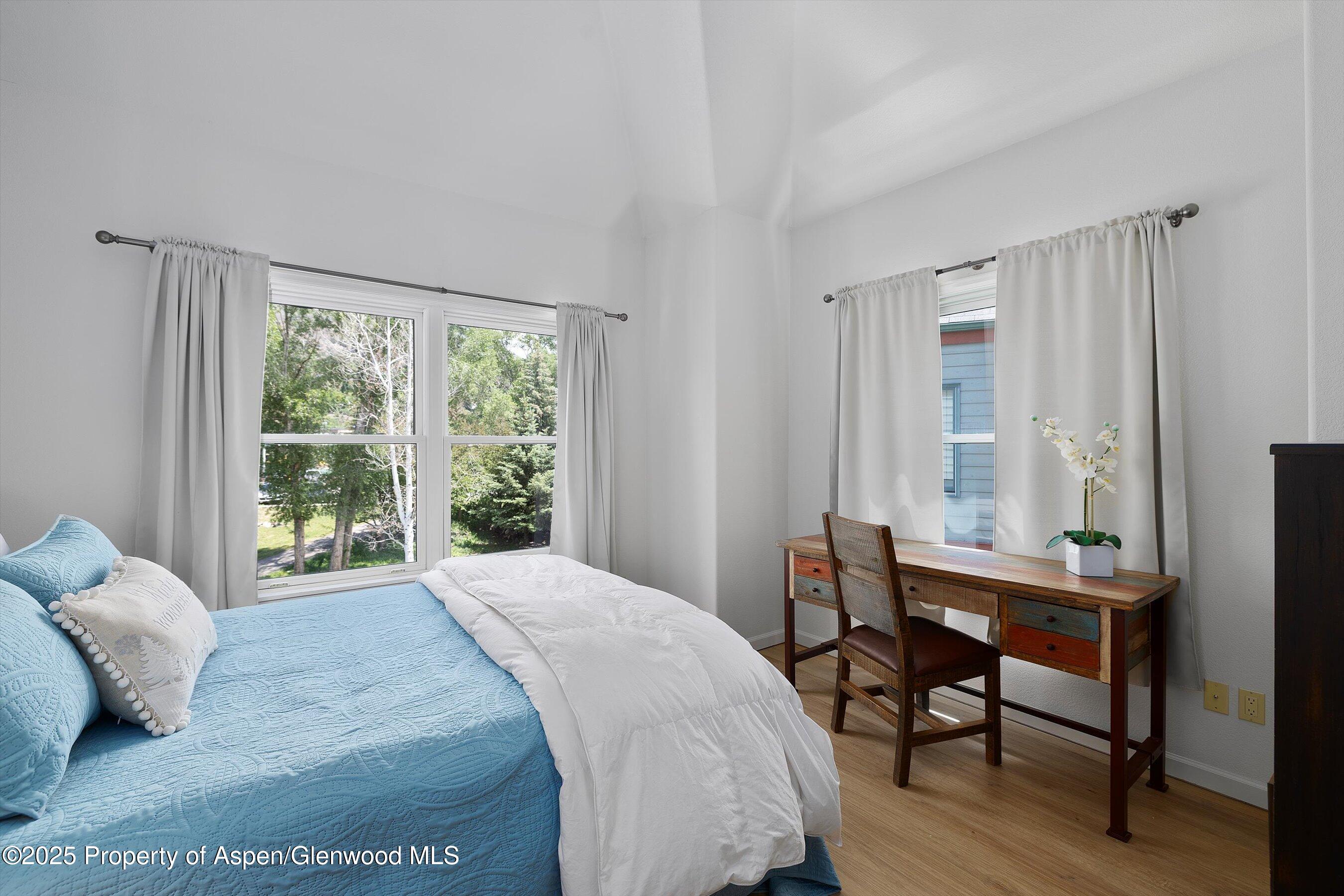 655 Gold Rivers Court Basalt CO 81621