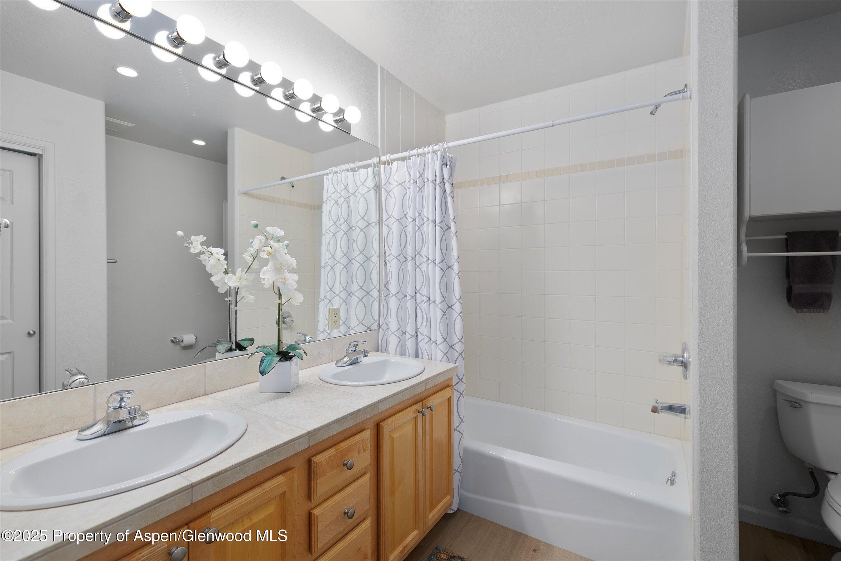 655 Gold Rivers Court Basalt CO 81621