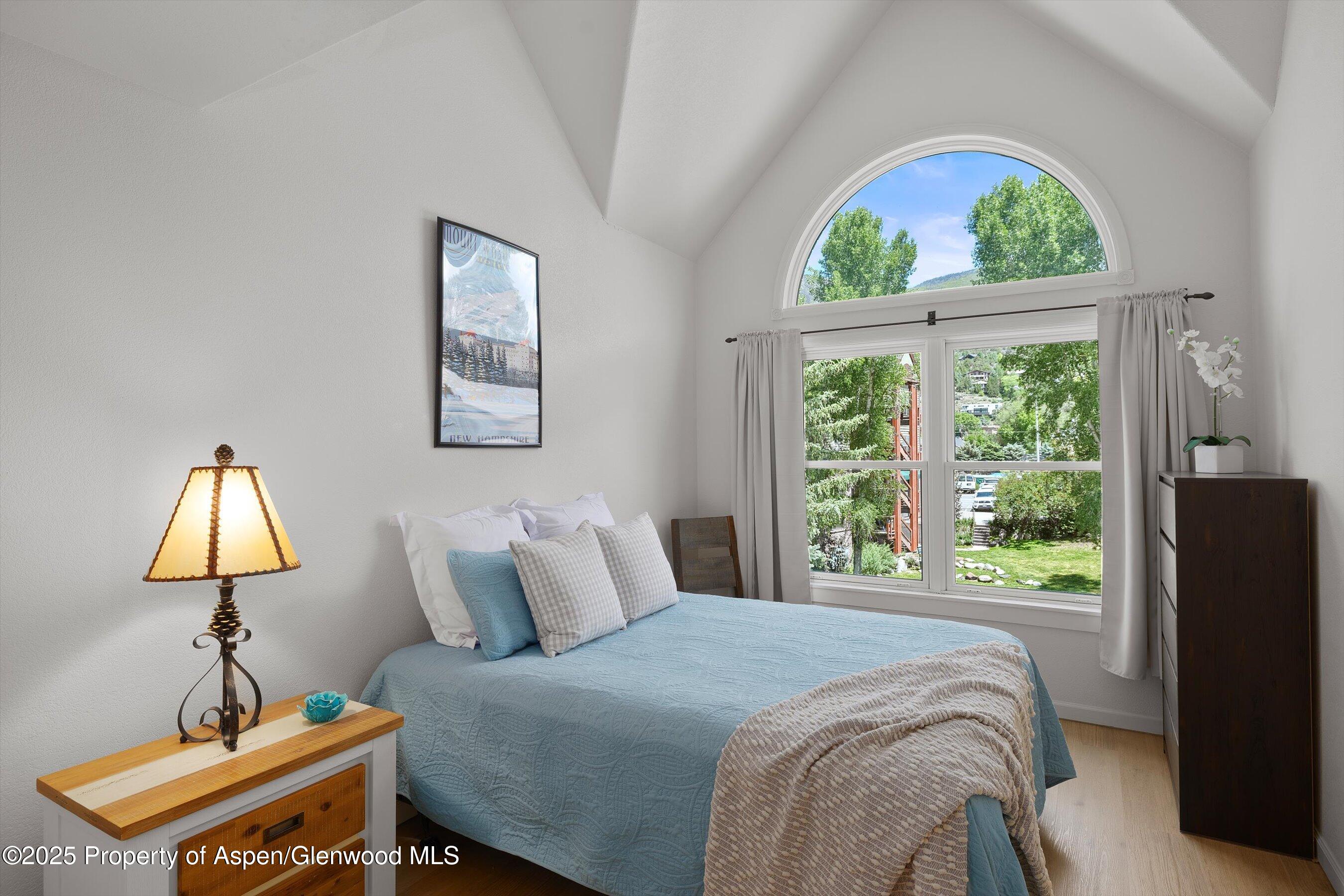 655 Gold Rivers Court Basalt CO 81621