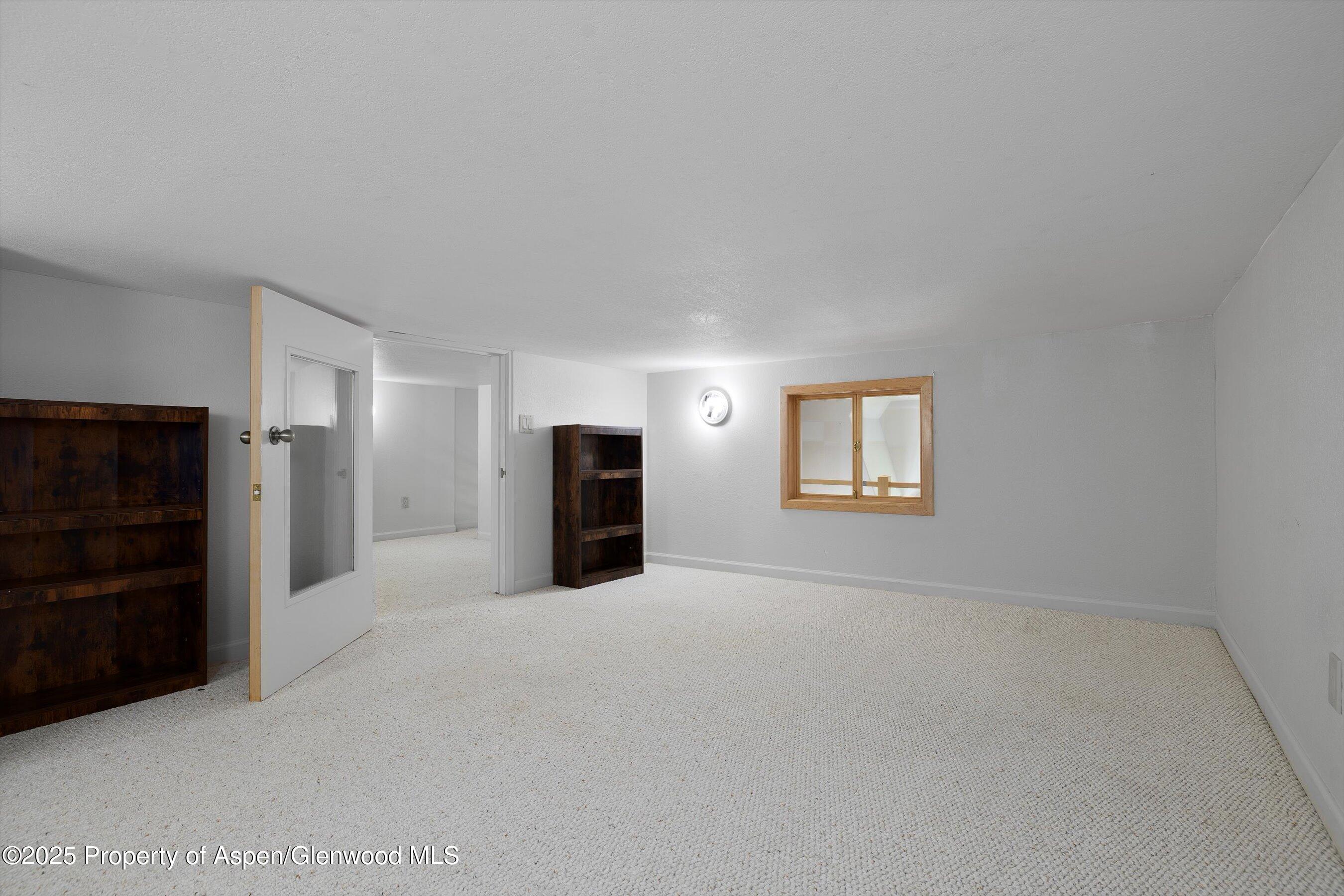 655 Gold Rivers Court Basalt CO 81621