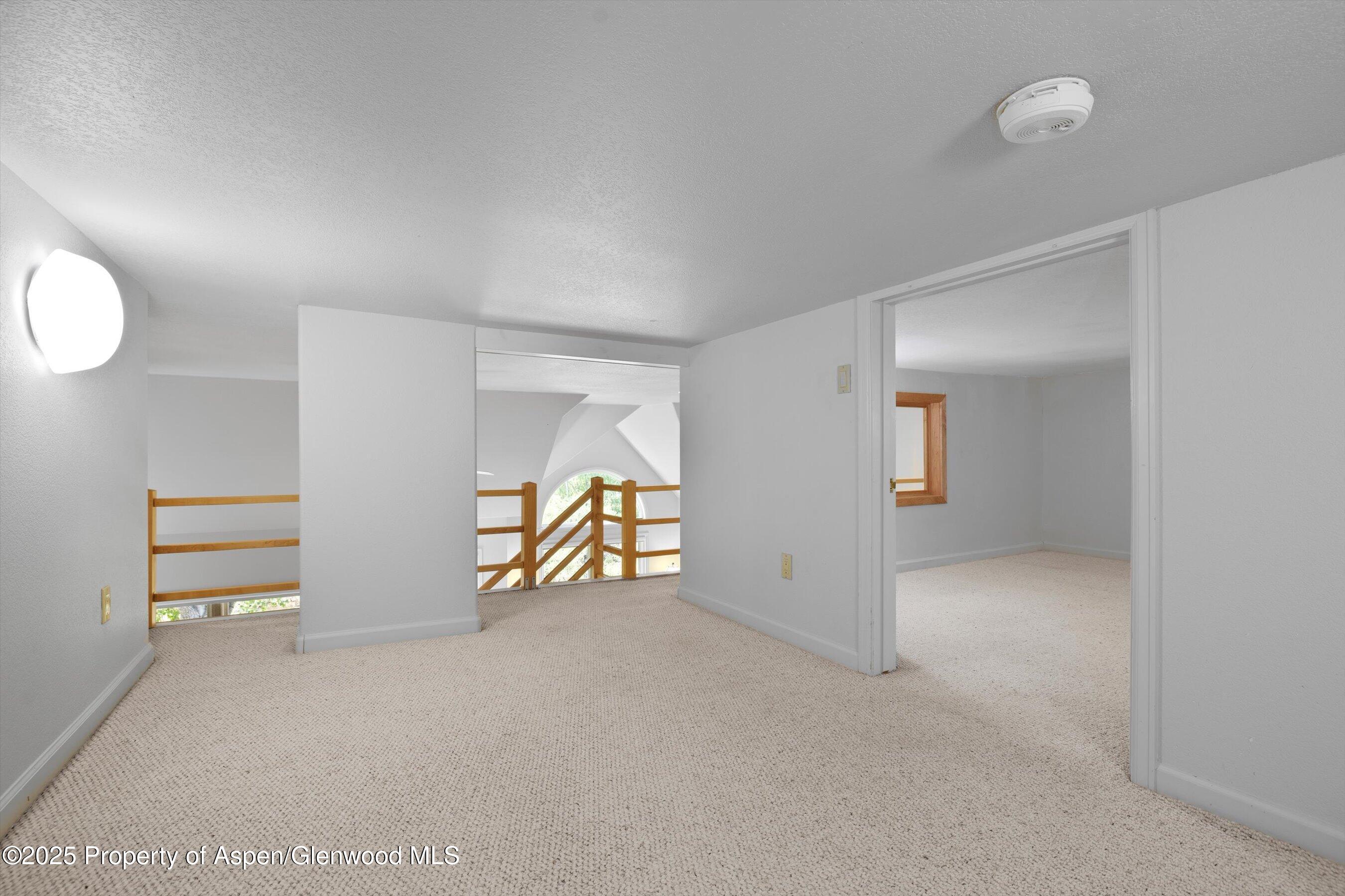 655 Gold Rivers Court Basalt CO 81621