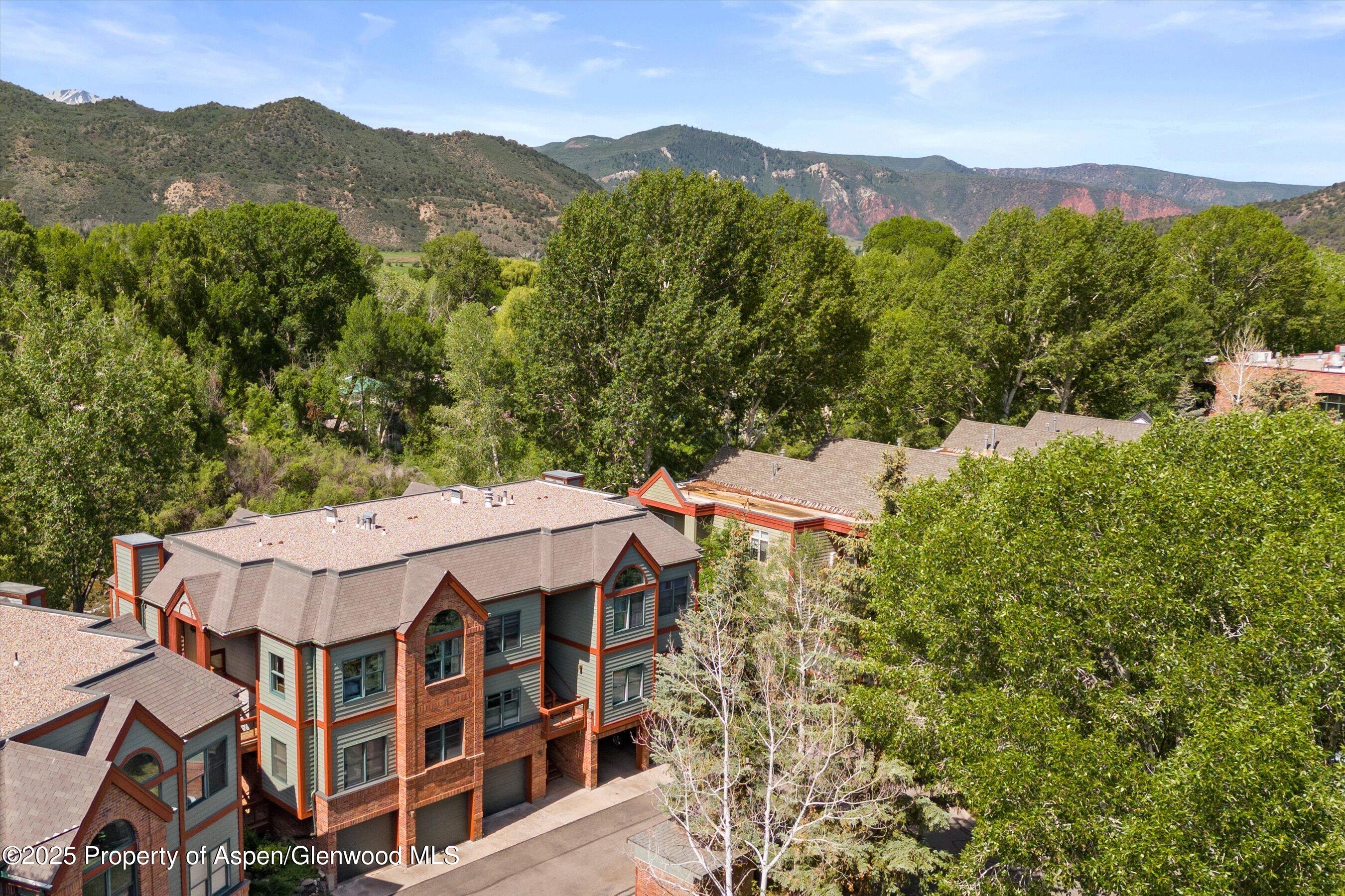 655 Gold Rivers Court Basalt CO 81621